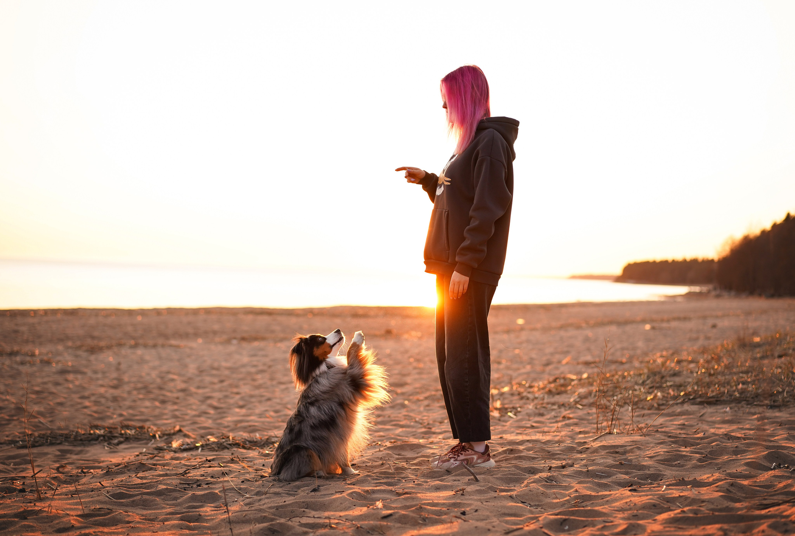 Алиса и Джокер. Фотограф-анималист в Санкт-Петербурге Яна Мартынова