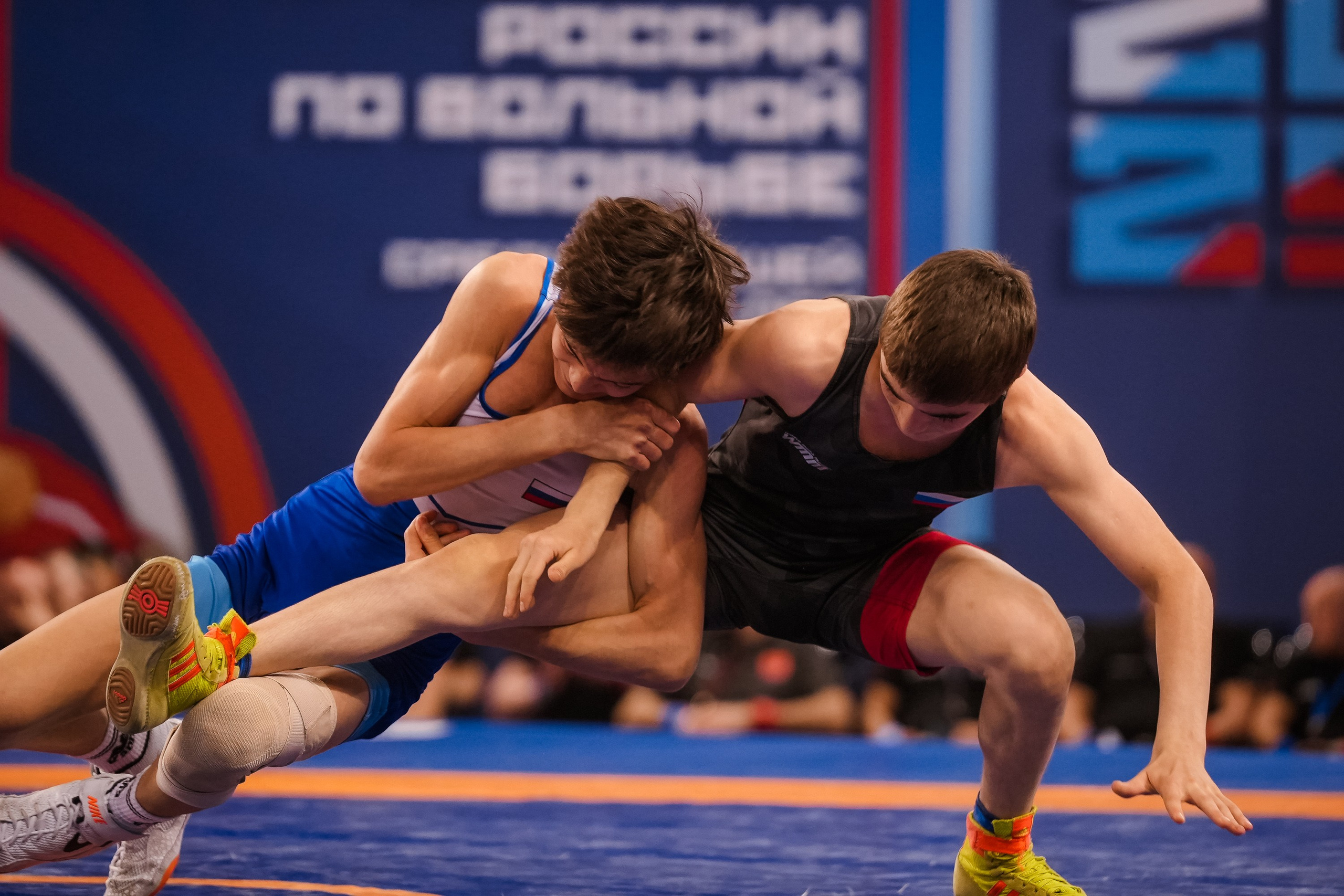 Первенство России по вольной борьбе среди юношей до 16 лет. Красноярск 2025. Фотограф Анна Герман. Красноярск