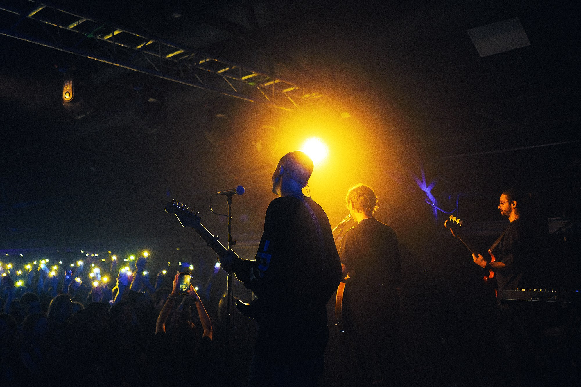 Сироткин. Anya.vision