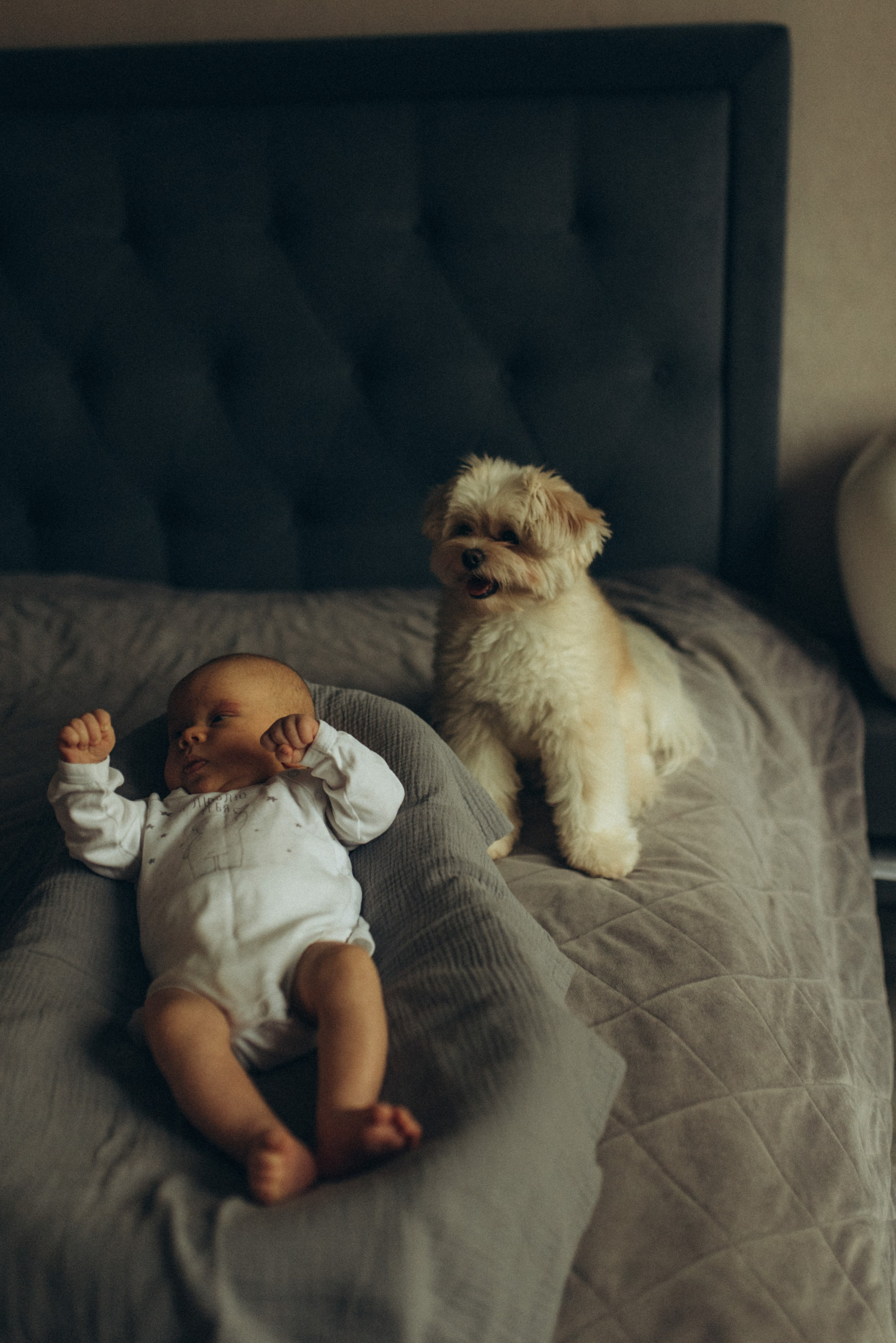 О самом главном❤. Семейный фотограф в Москве Екатерина Север