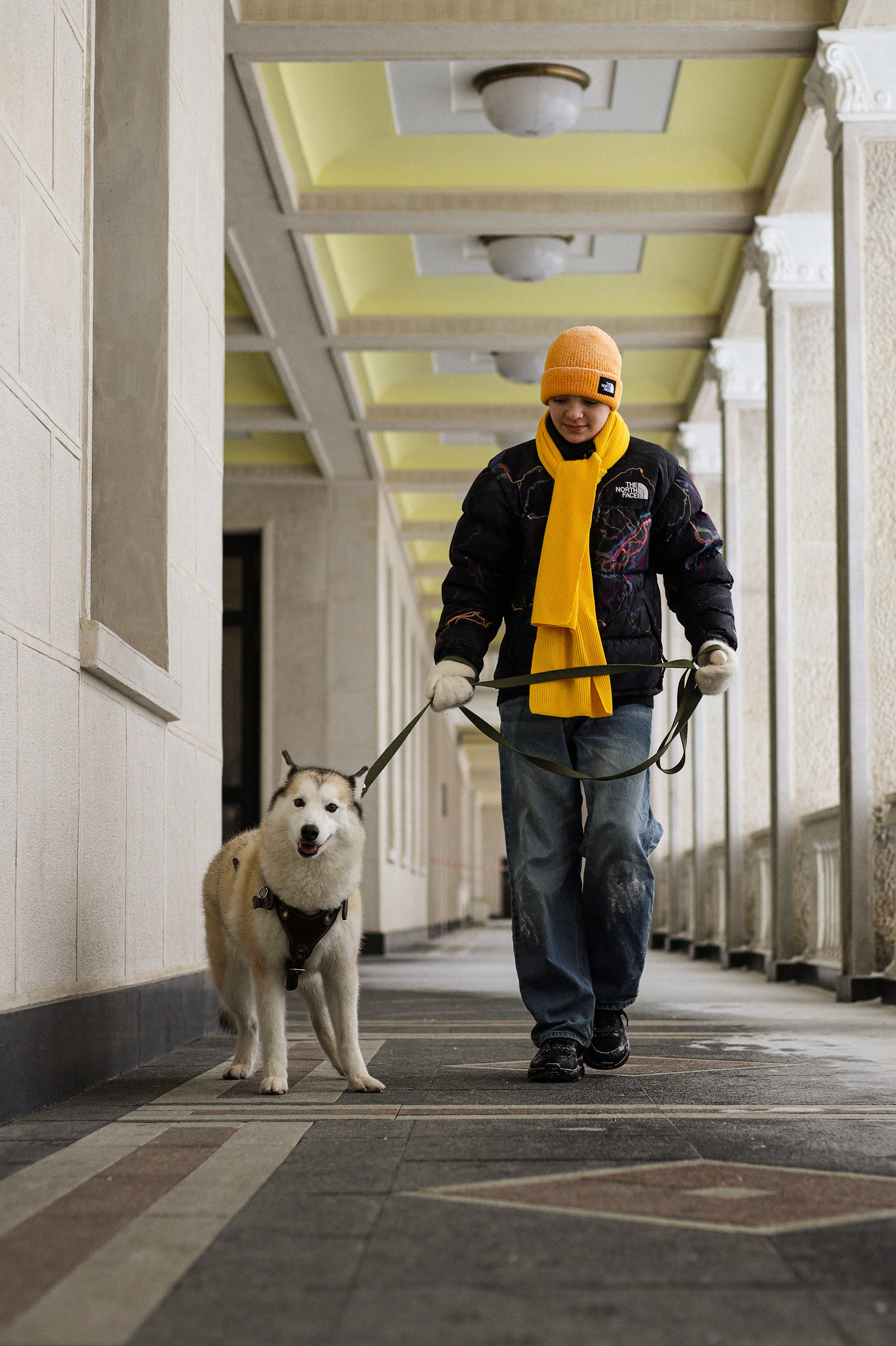 Мила, Лиза и Матвей. Фотограф-анималист Ксения Шевцова|Москва
