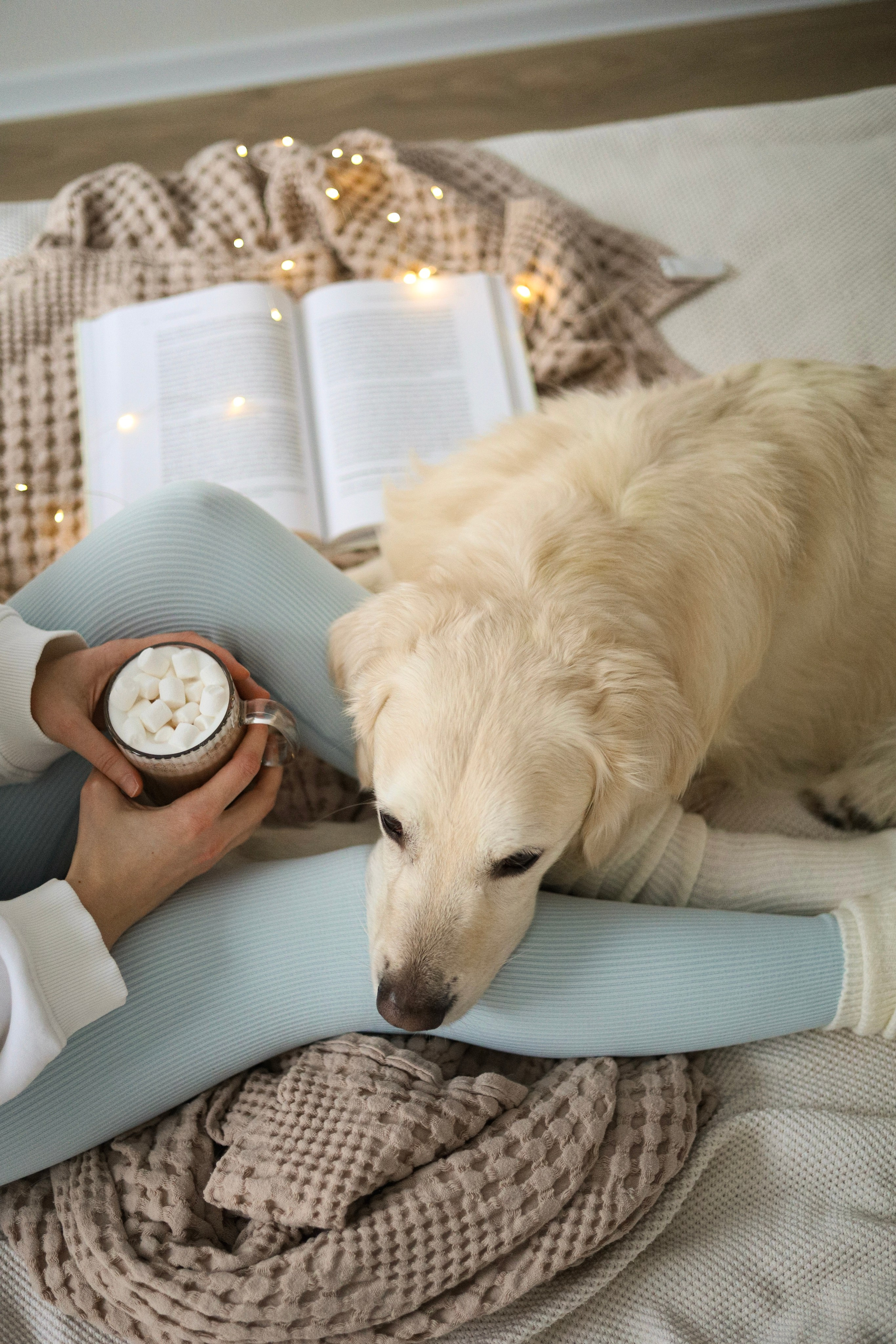 Зиз и Юля. Новогодняя. Фотограф-анималист Ксения Шевцова|Москва