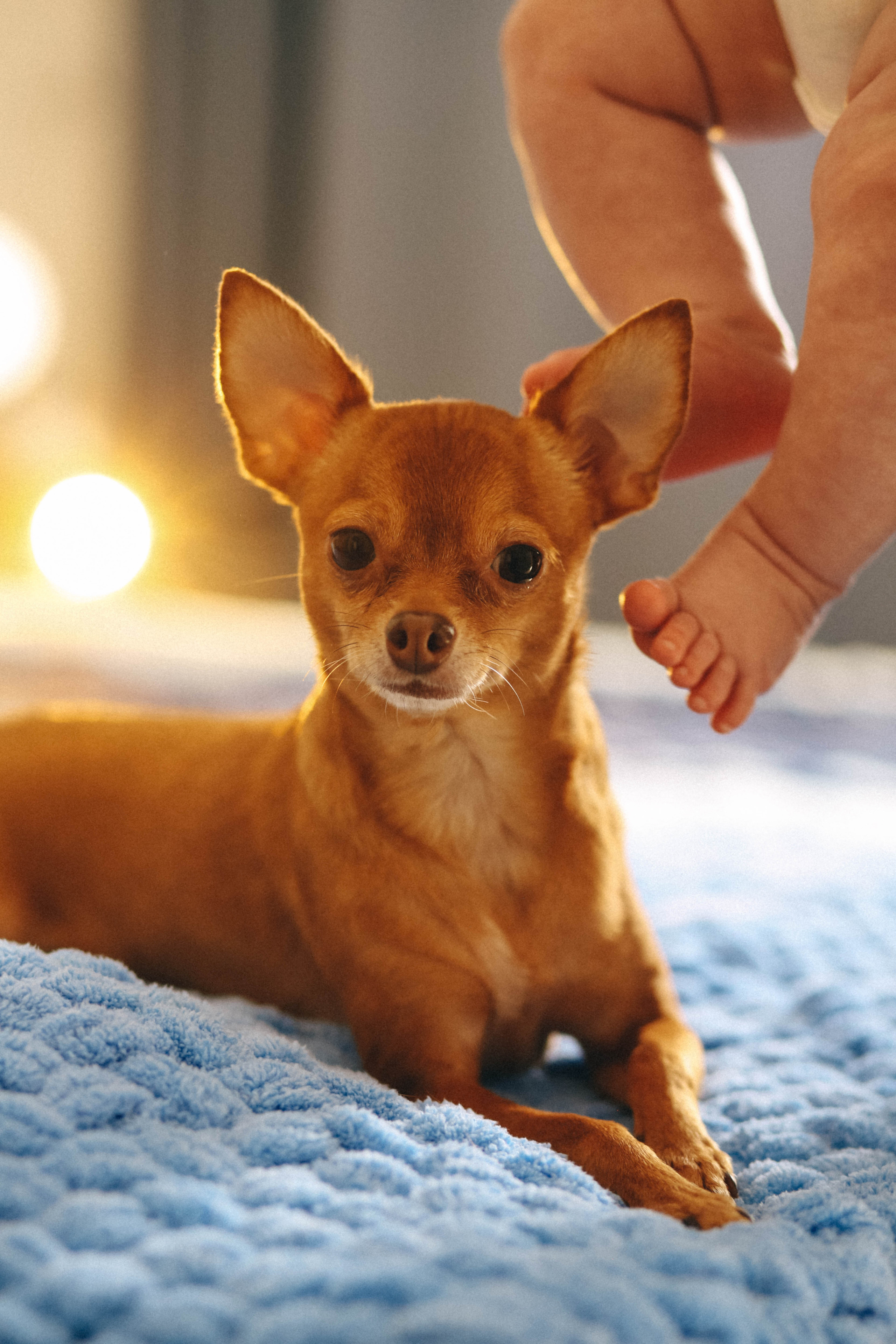 Семейные фотосессии. Свадебный фотограф Полина Мишуринская