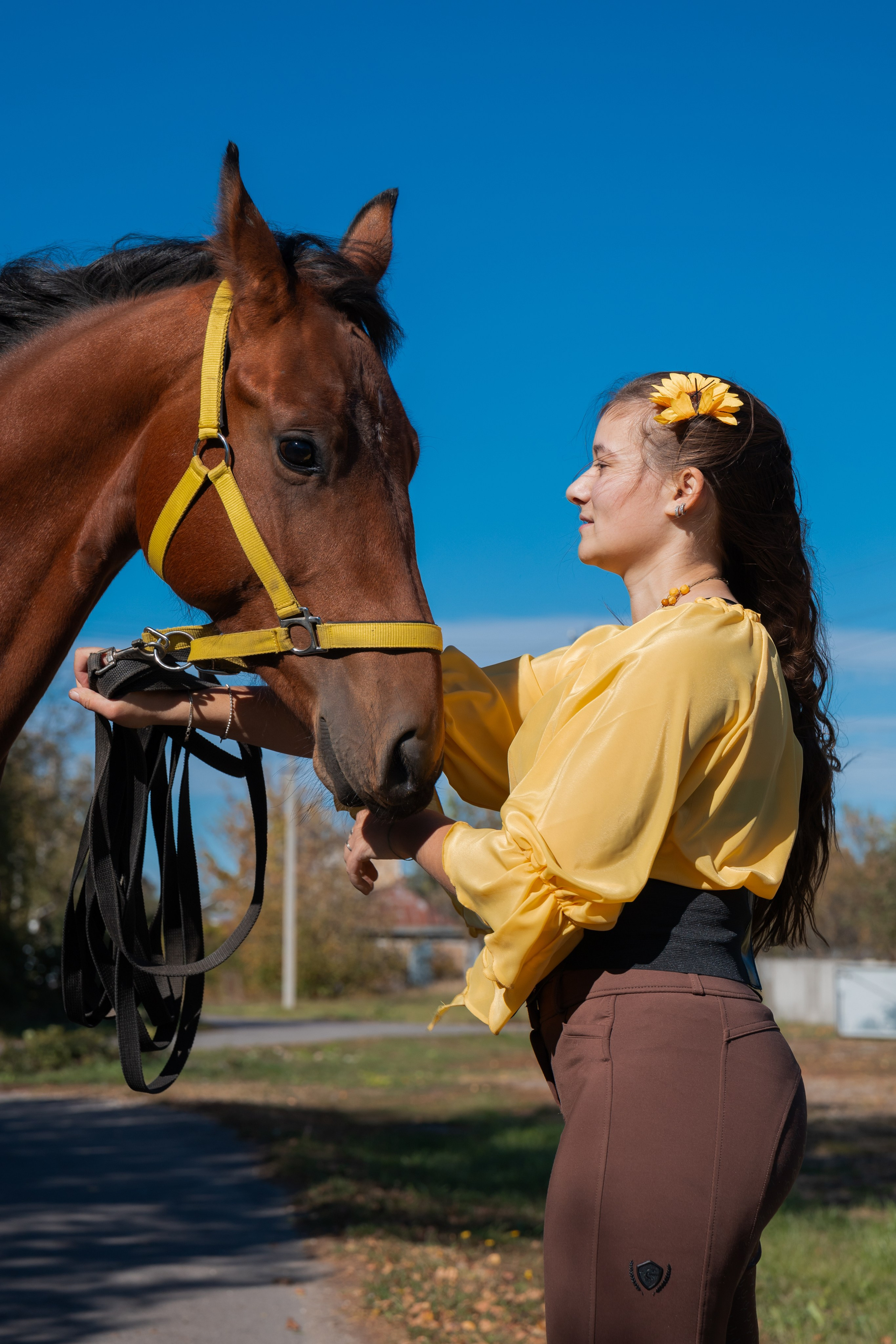 Фотосессия с лошадьми