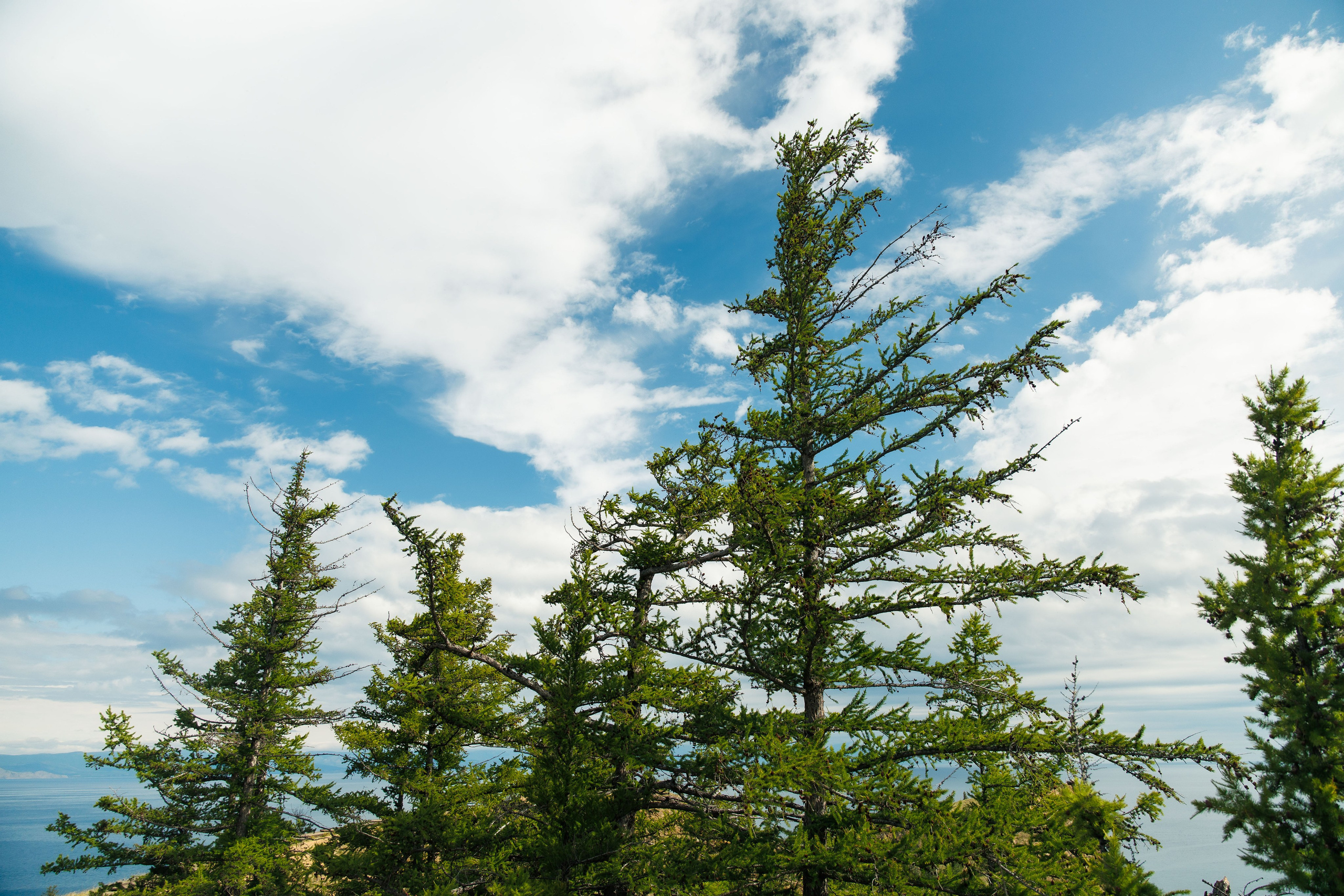 Летний Байкал