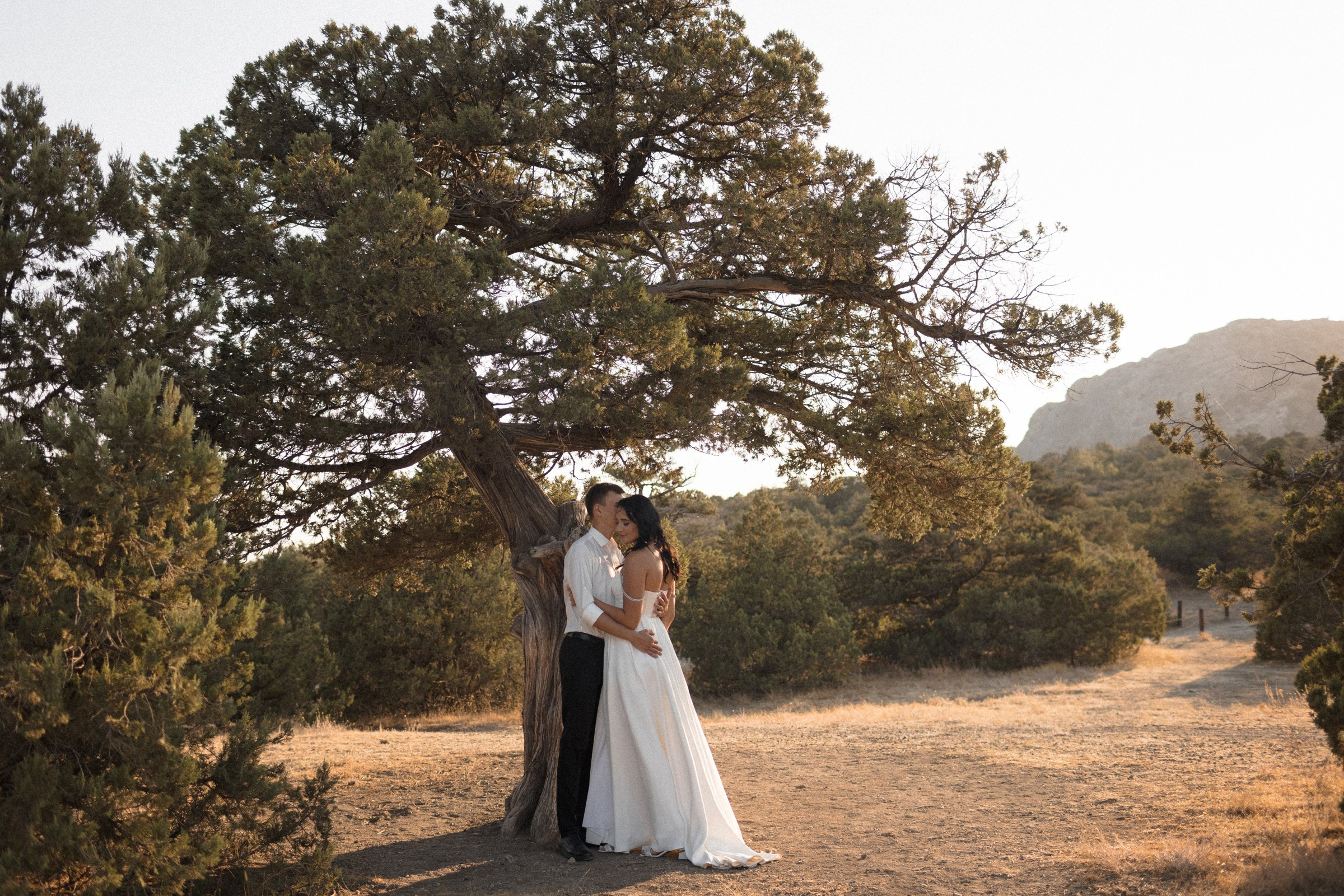 На тропе…. Sovushka DS