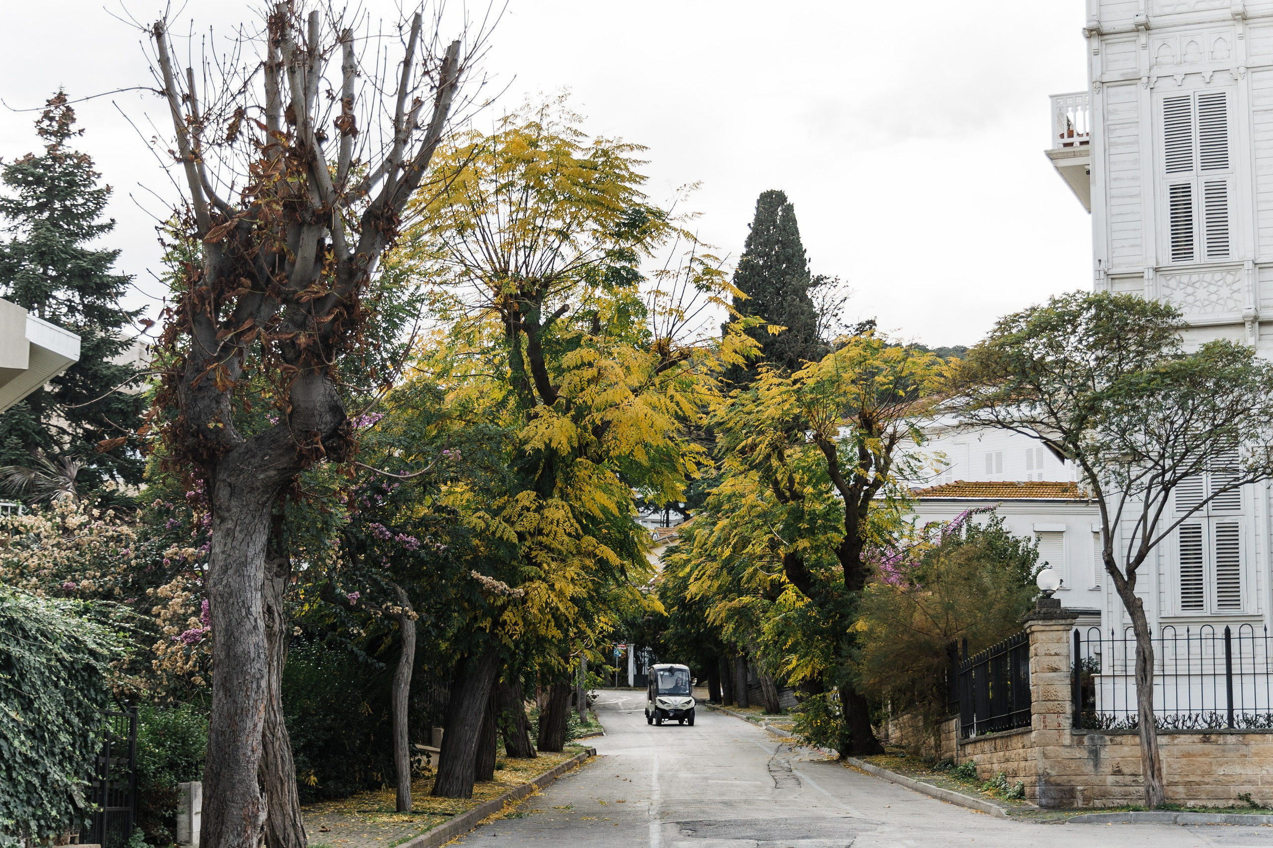 Türkiye. Свадебный и семейный фотограф в Краснодаре Роман Моско
