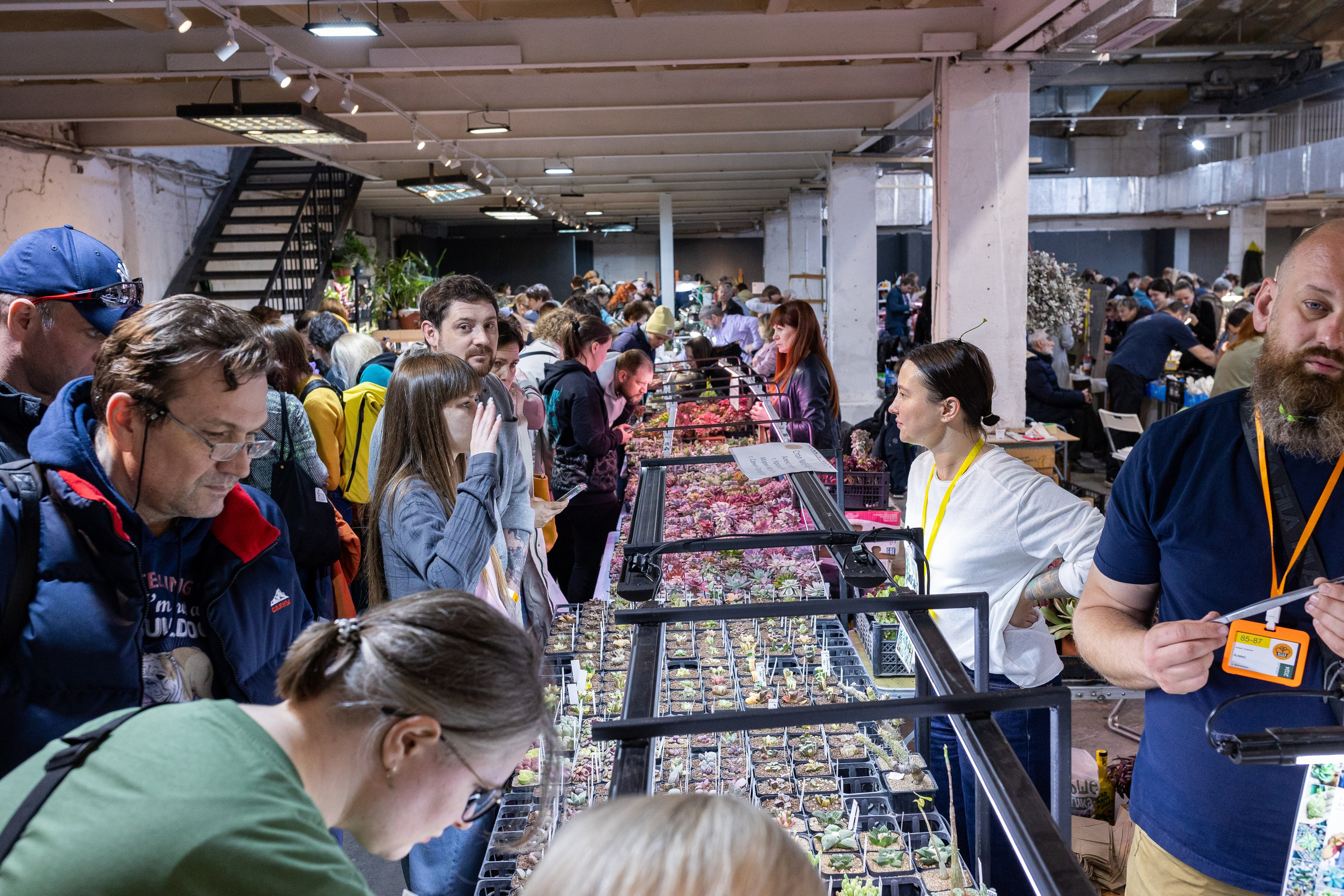 Meza market 2024. Александра Куликова фотограф, Москва