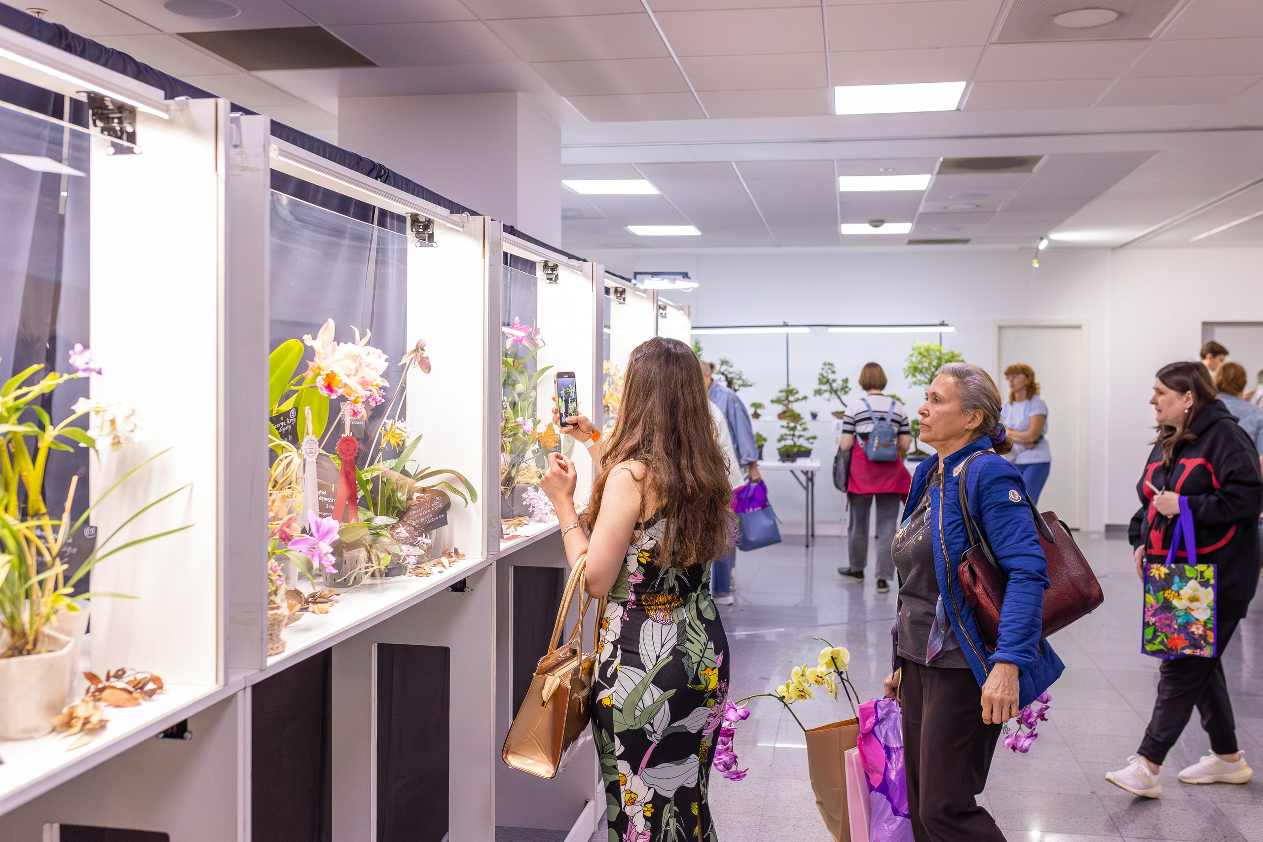 Орхидиум сентябрь 2025. Александра Куликова фотограф, Москва