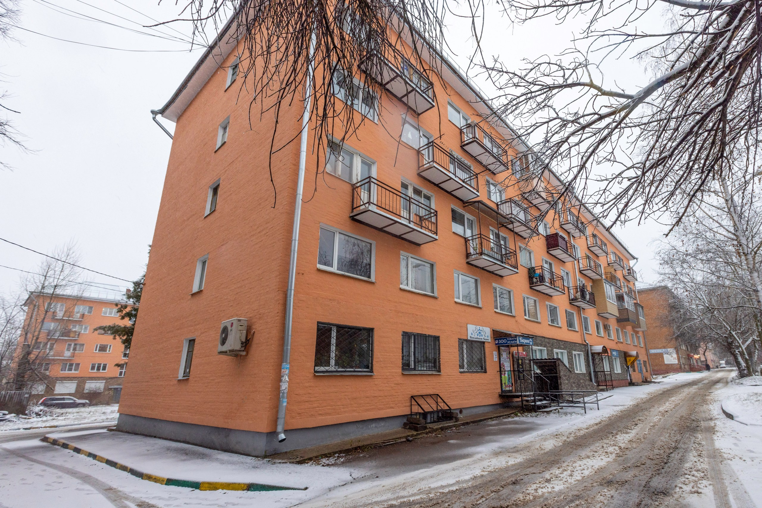 БАРОН. Ветеринарная клиника. Фотограф в Туле Крупский АнДРей. Фотостудия «КАДР71» в Туле