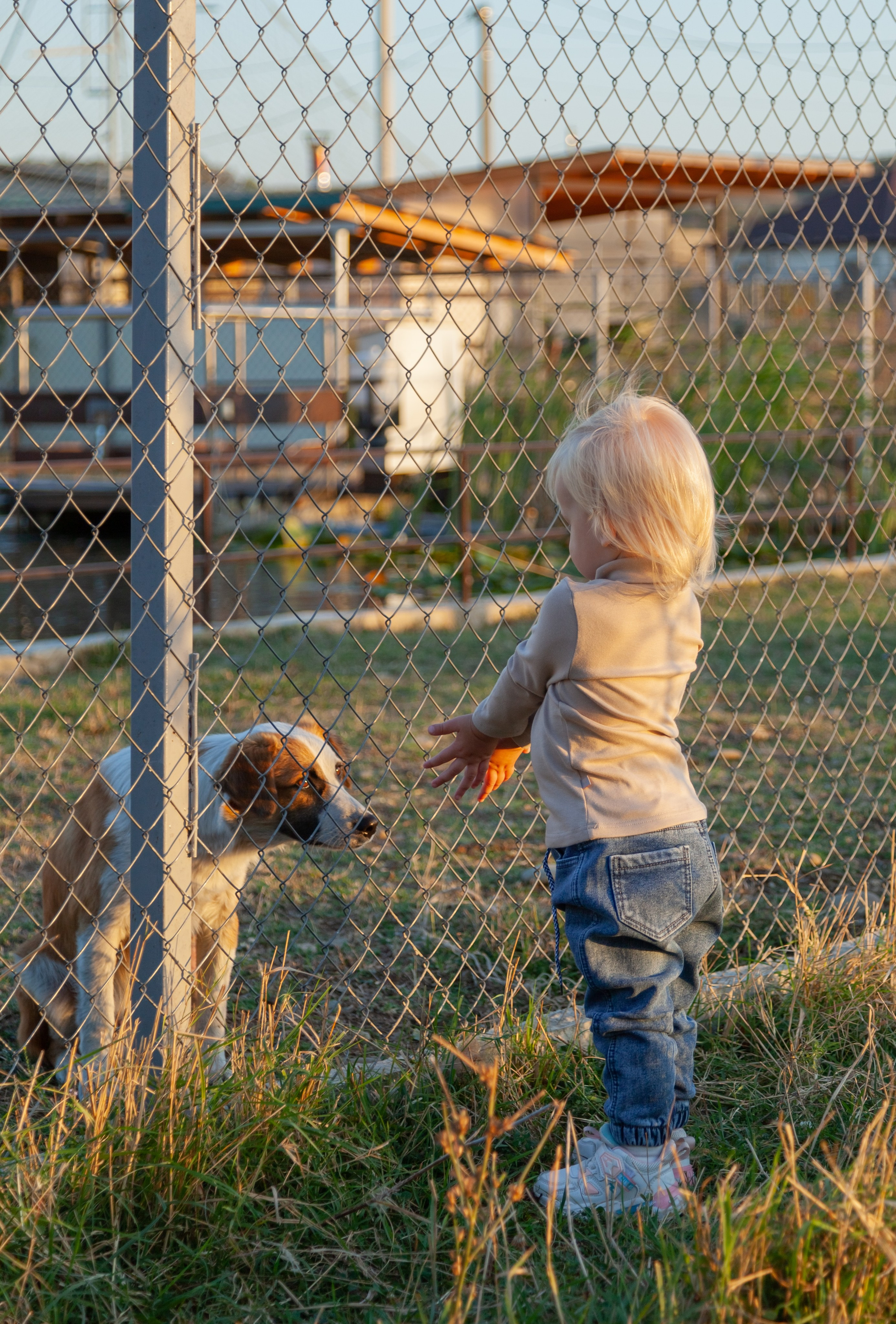 Семейные фотосессии. Семейный и детский фотограф в Майкопе Любовь Никифорова