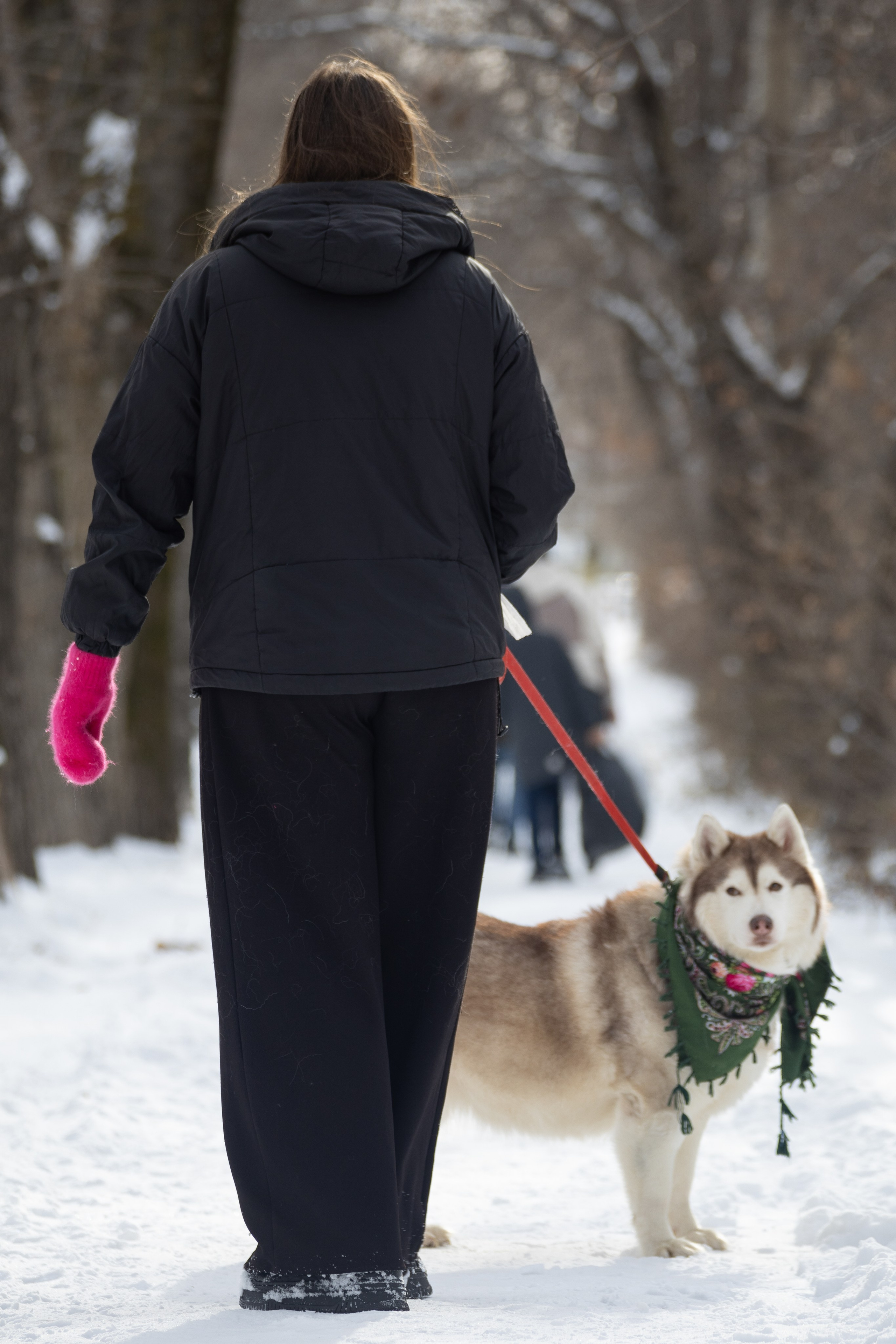 Люди и питомцы. Slavilada-Лапки. Свет. Любовь… Профессиональная фотосессия питомцев Для памяти, пристройства и продажи. Хабаровск