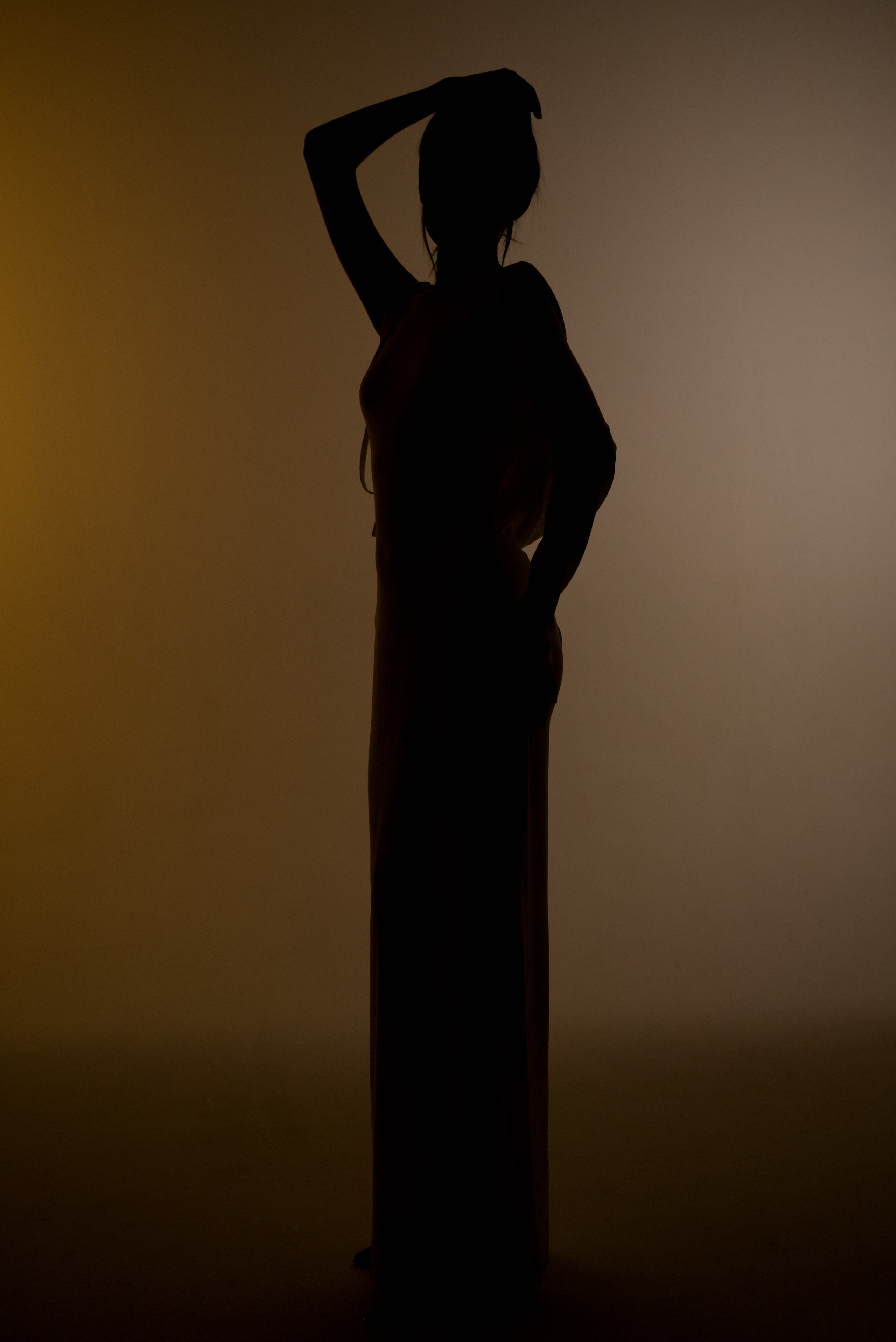 Силуэт цвет с постоянным светом. Мир глазами Саши Д