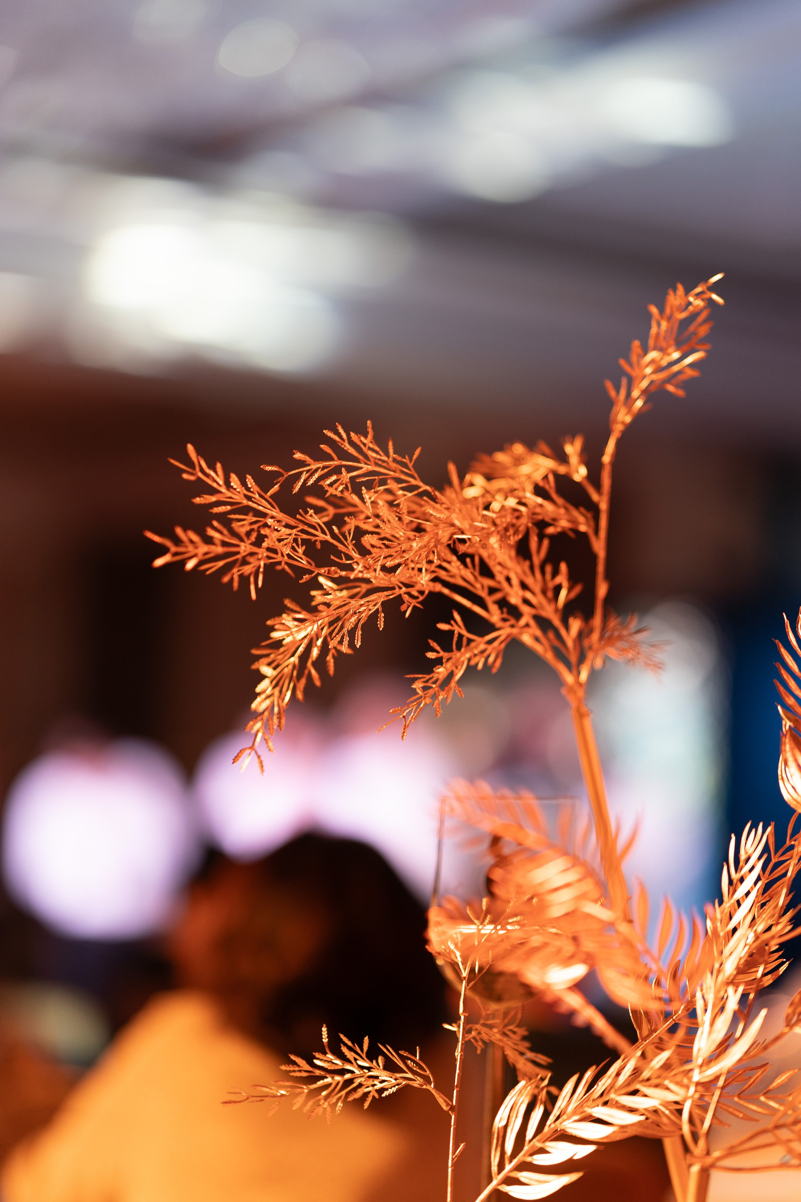 For Brands. Фотограф Астана, byNurda