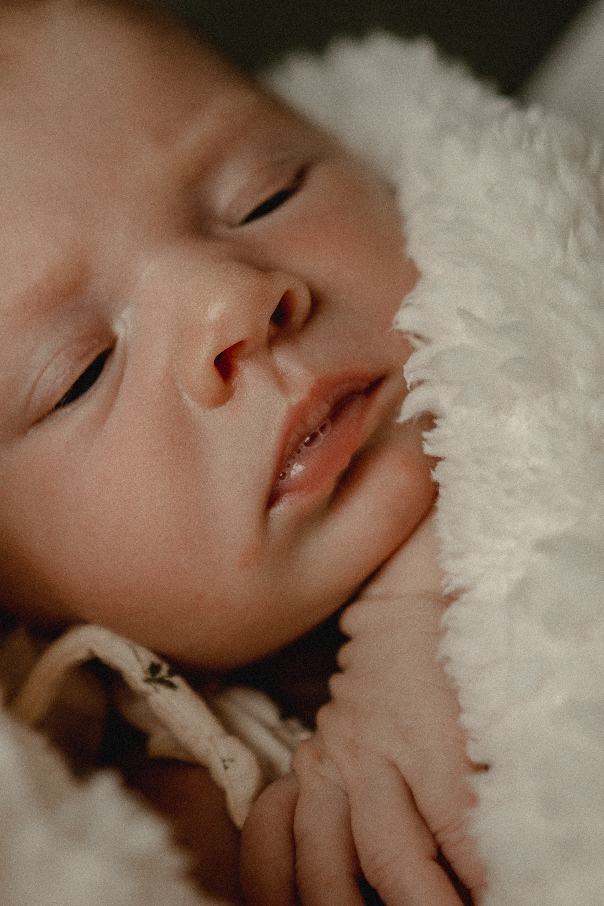 Мирослава — первые дни дома. Семейный фотограф Новороссийск, Анапа, Геленджик — Юлия Давыдова