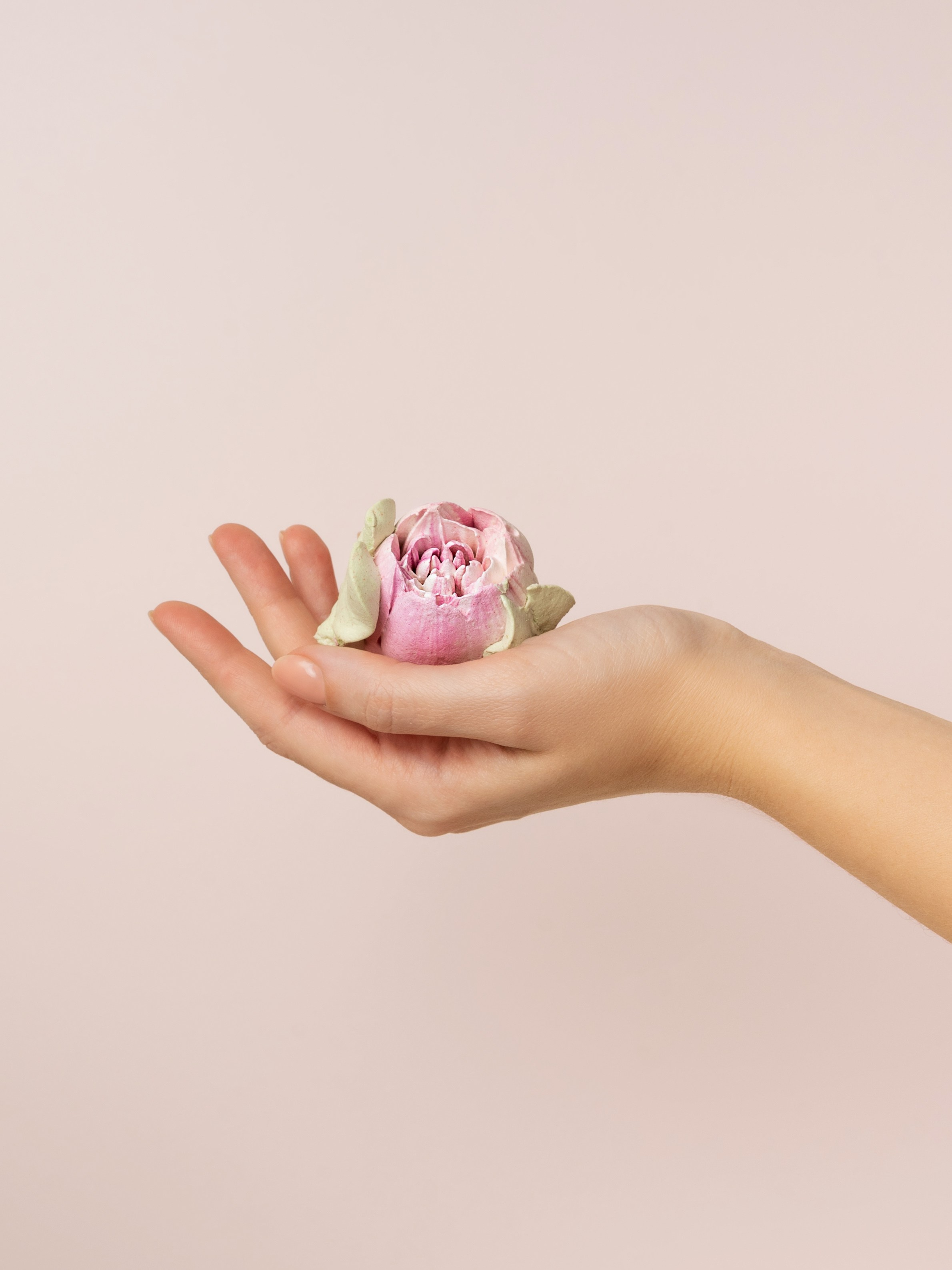 Зефир. Предметный и рекламный фотограф в Сочи Мария Золотай