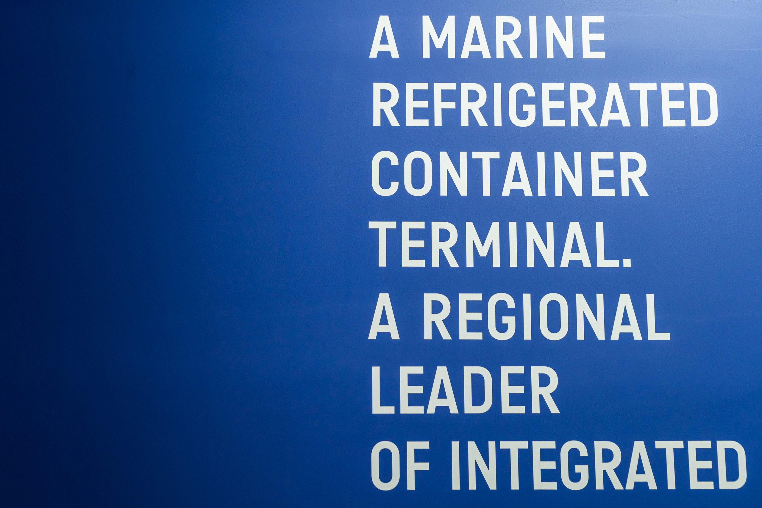 ЭКСПО. OVIXON WEB