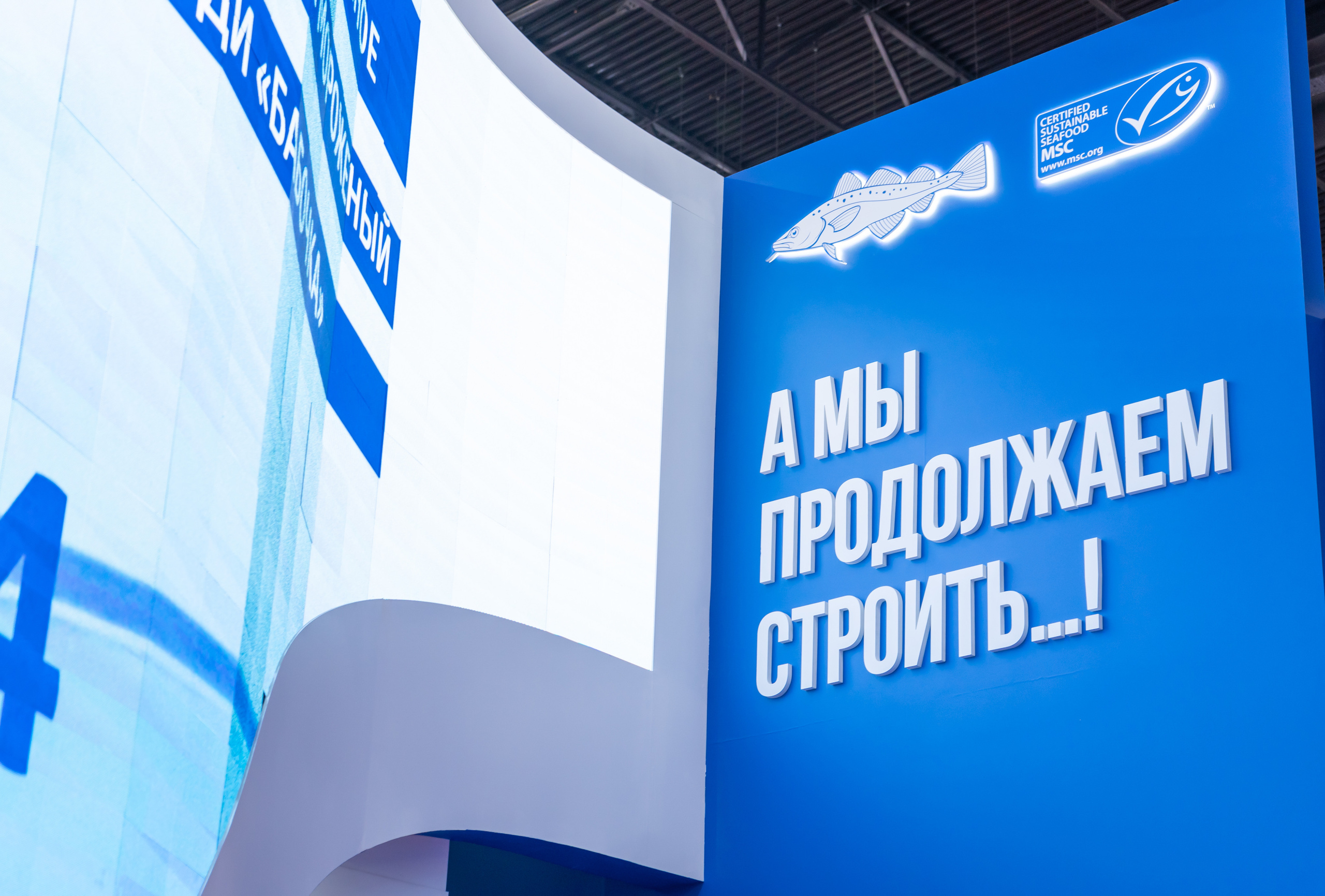 ЭКСПО. OVIXON WEB