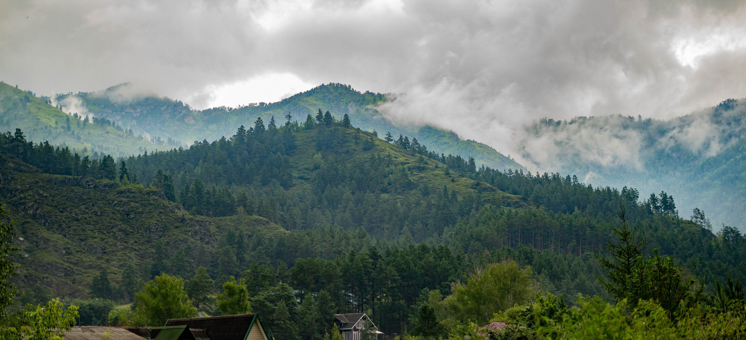 Фотосессия на природе Новосибирск Краснообск