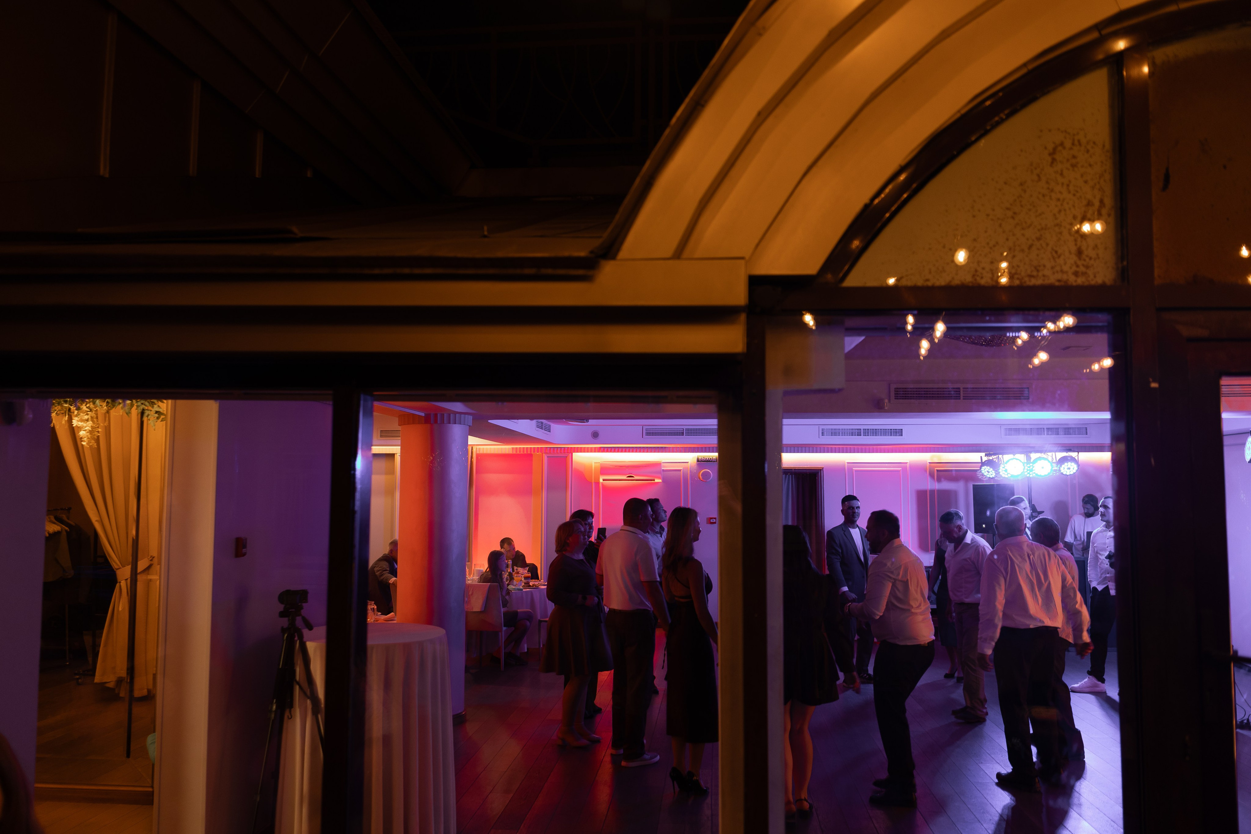 Серая кошка и рыжий кот. Свадебный и семейный фотограф Арина Кулёва