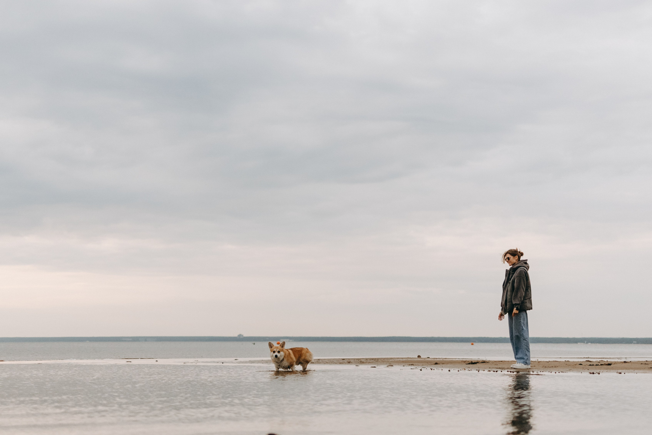 Лиза и Бакс. Фотограф — Анималист | Санкт-Петербург