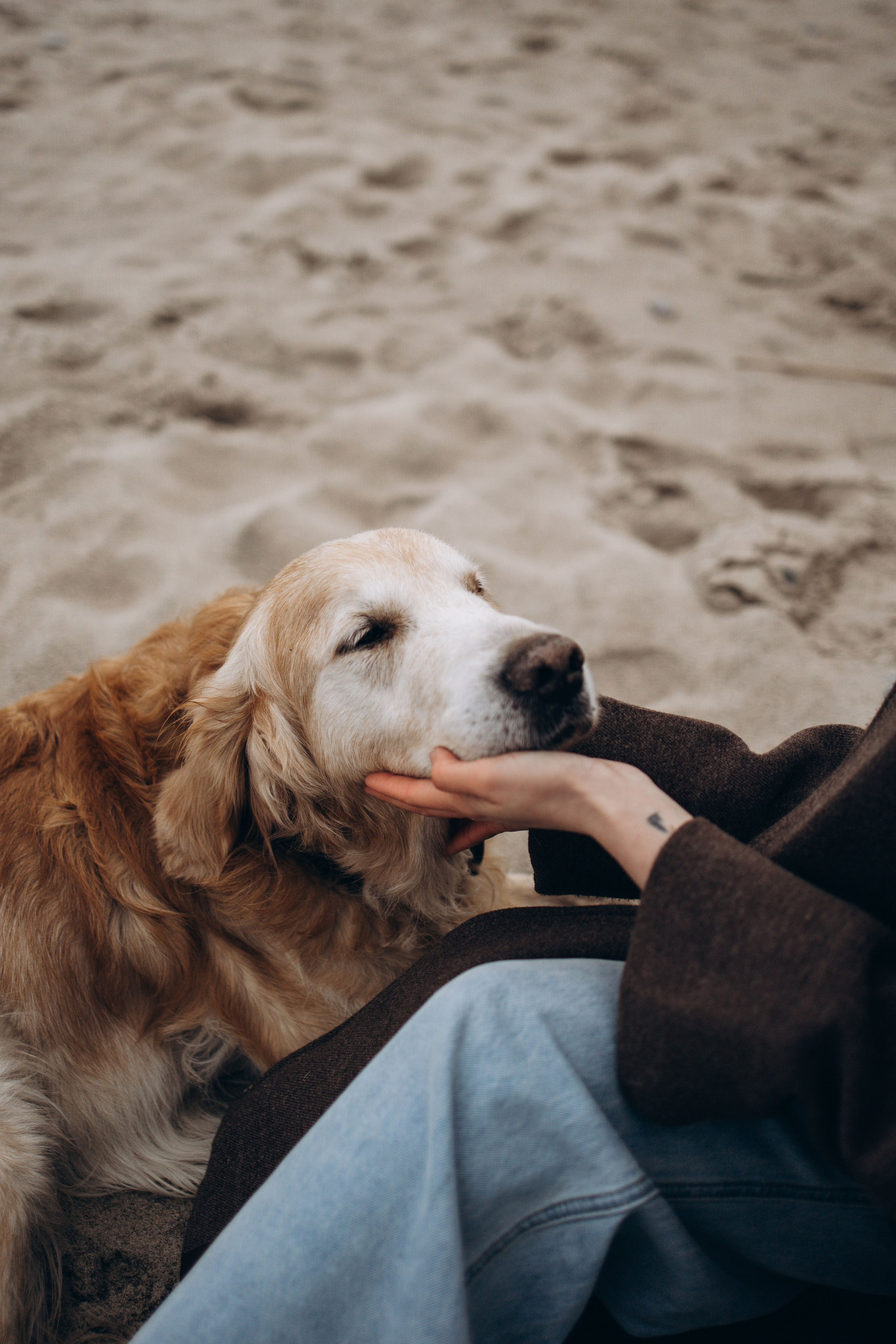 Юля и Максик. Фотограф — Анималист | Санкт-Петербург
