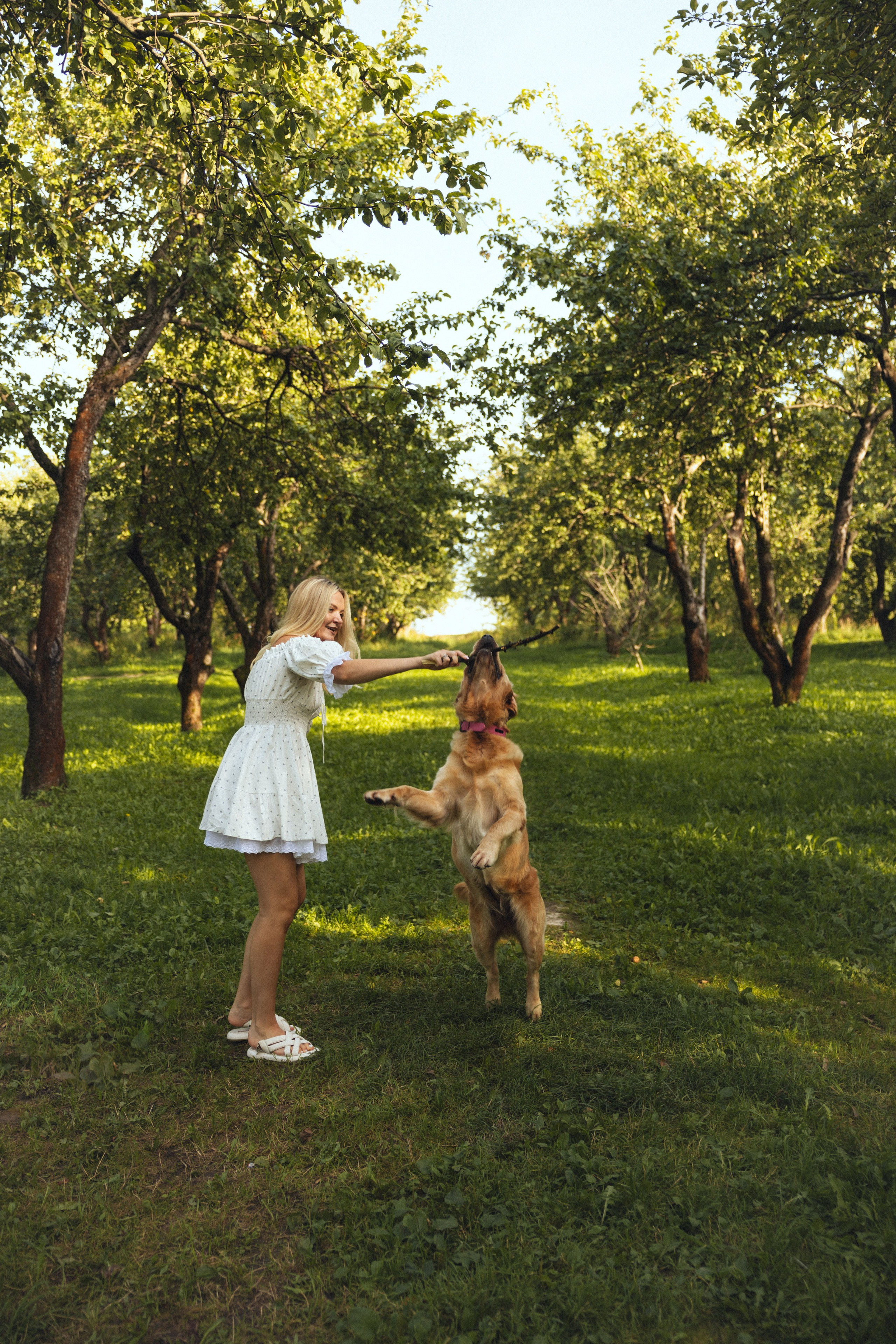 Елизавета и Даниил. Фотограф Дарья Смирнова