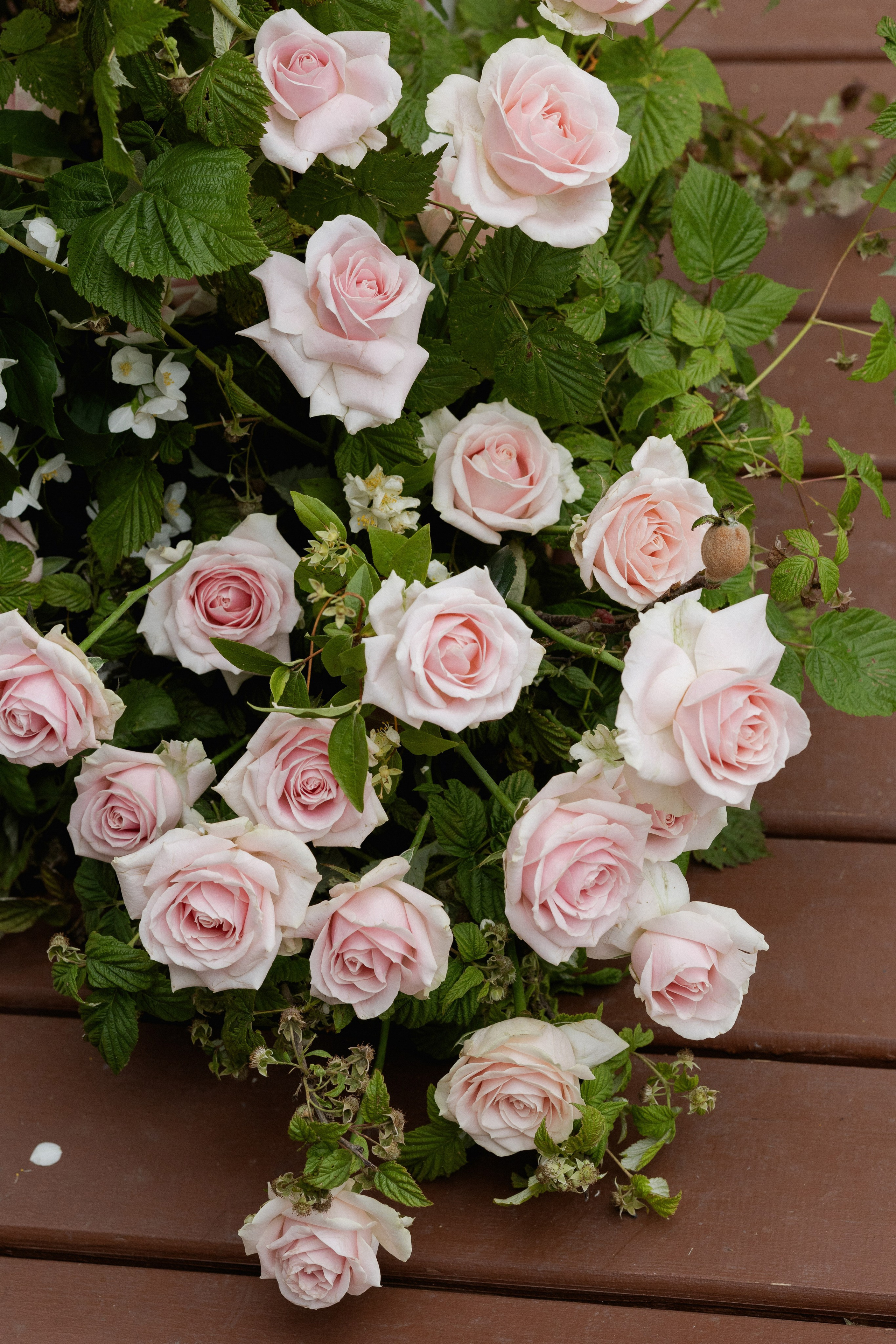 Диана & Павел. Оформление свадеб, декор свадеб Вера Маркова, Москва