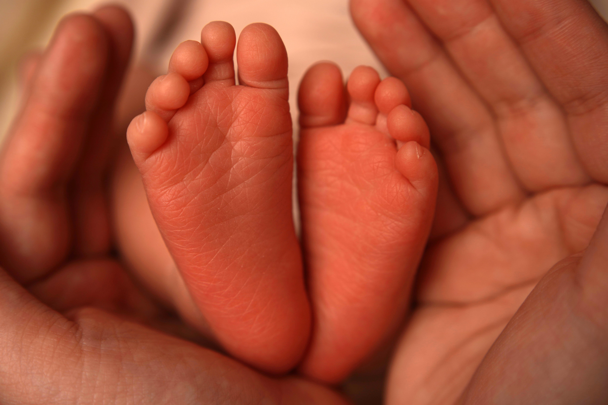 Макро кадры. Фотограф Александра Василькова