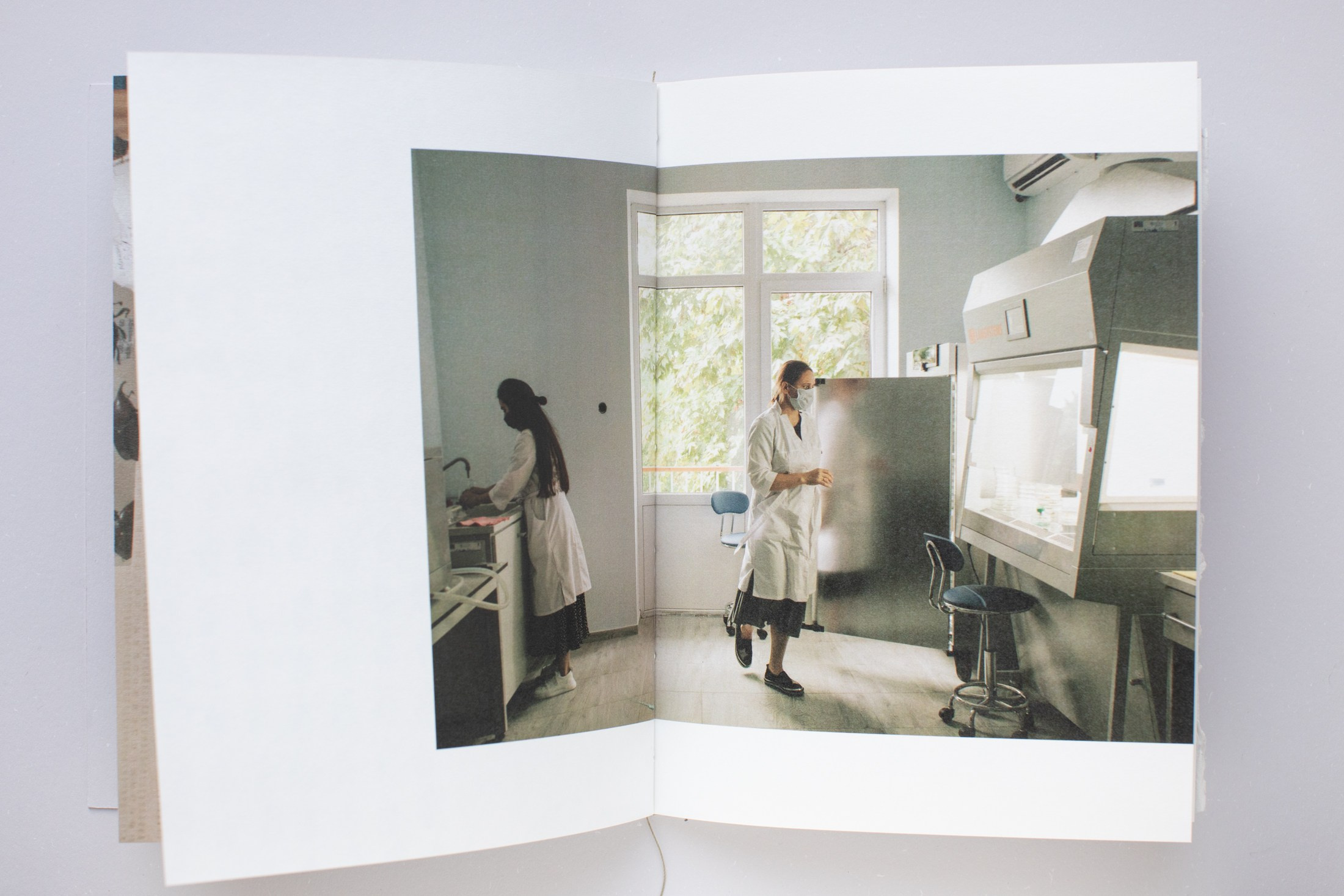 Зин «Про деревья, насекомых и людей». Natalya Madilyan