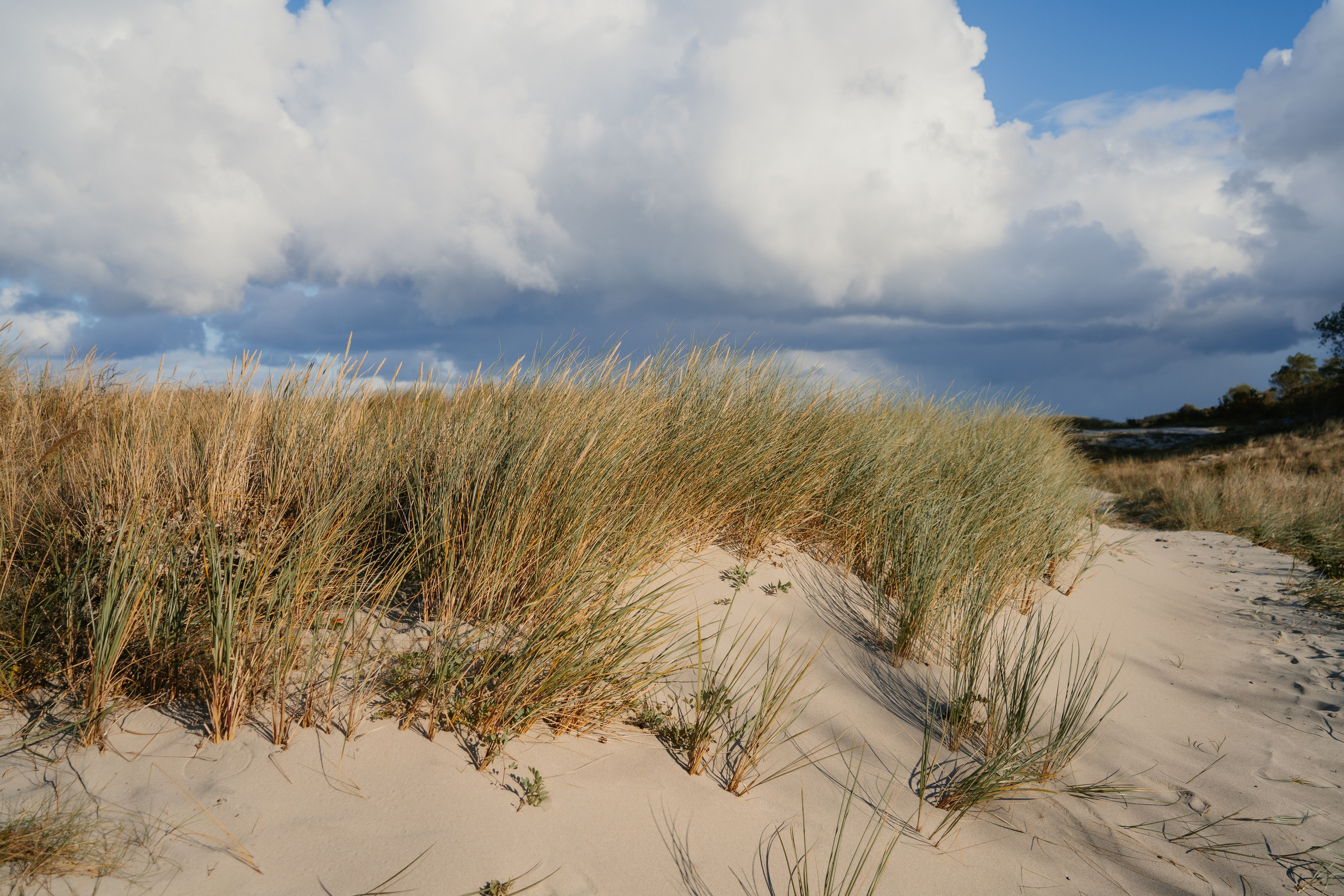 Балтийск/Калининград. Свадебный и семейный фотограф/видеограф в Краснодаре Наталья Осинская