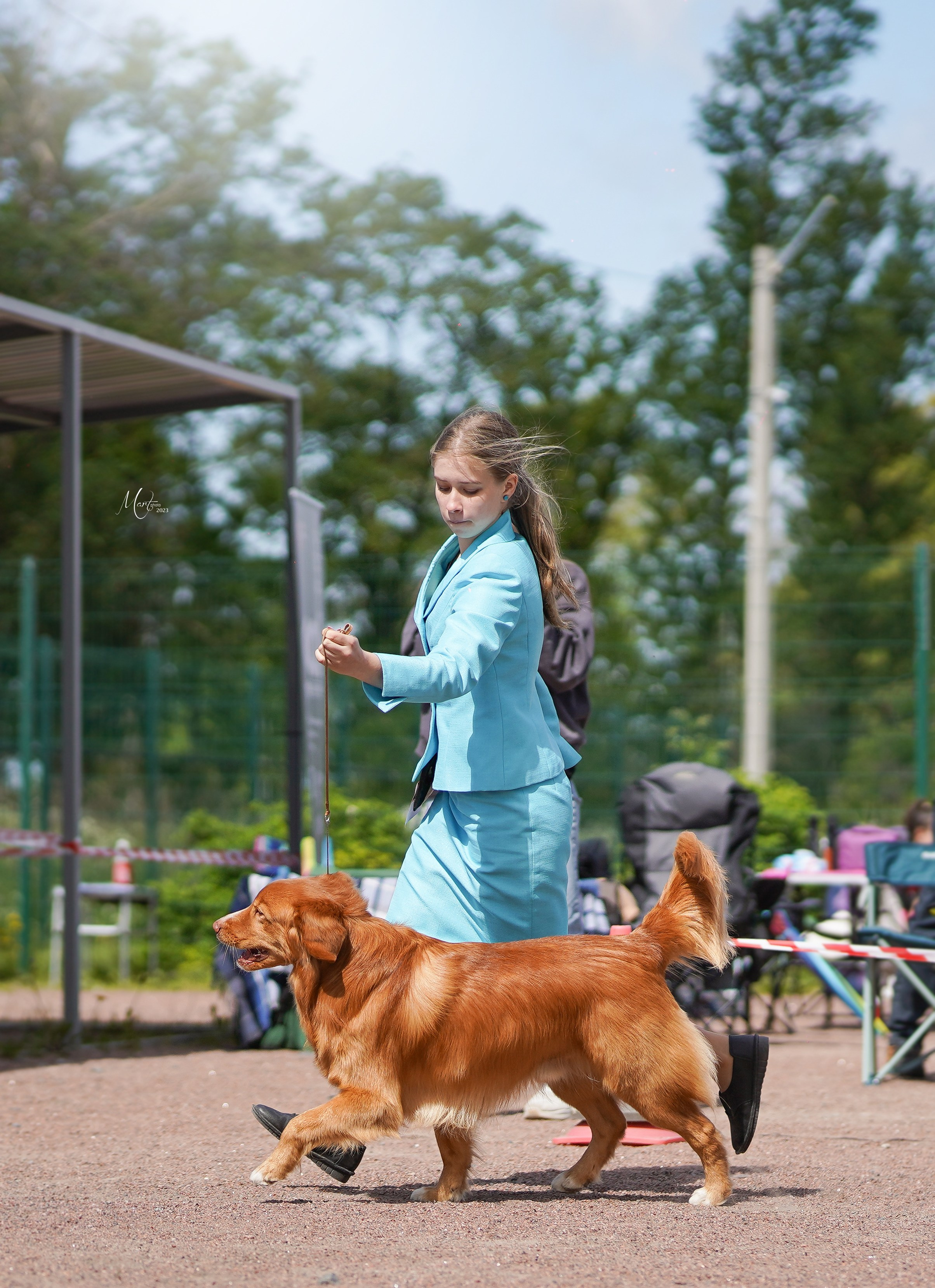 Выставки 2023. Фотограф-анималист в Санкт-Петербурге Яна Мартынова