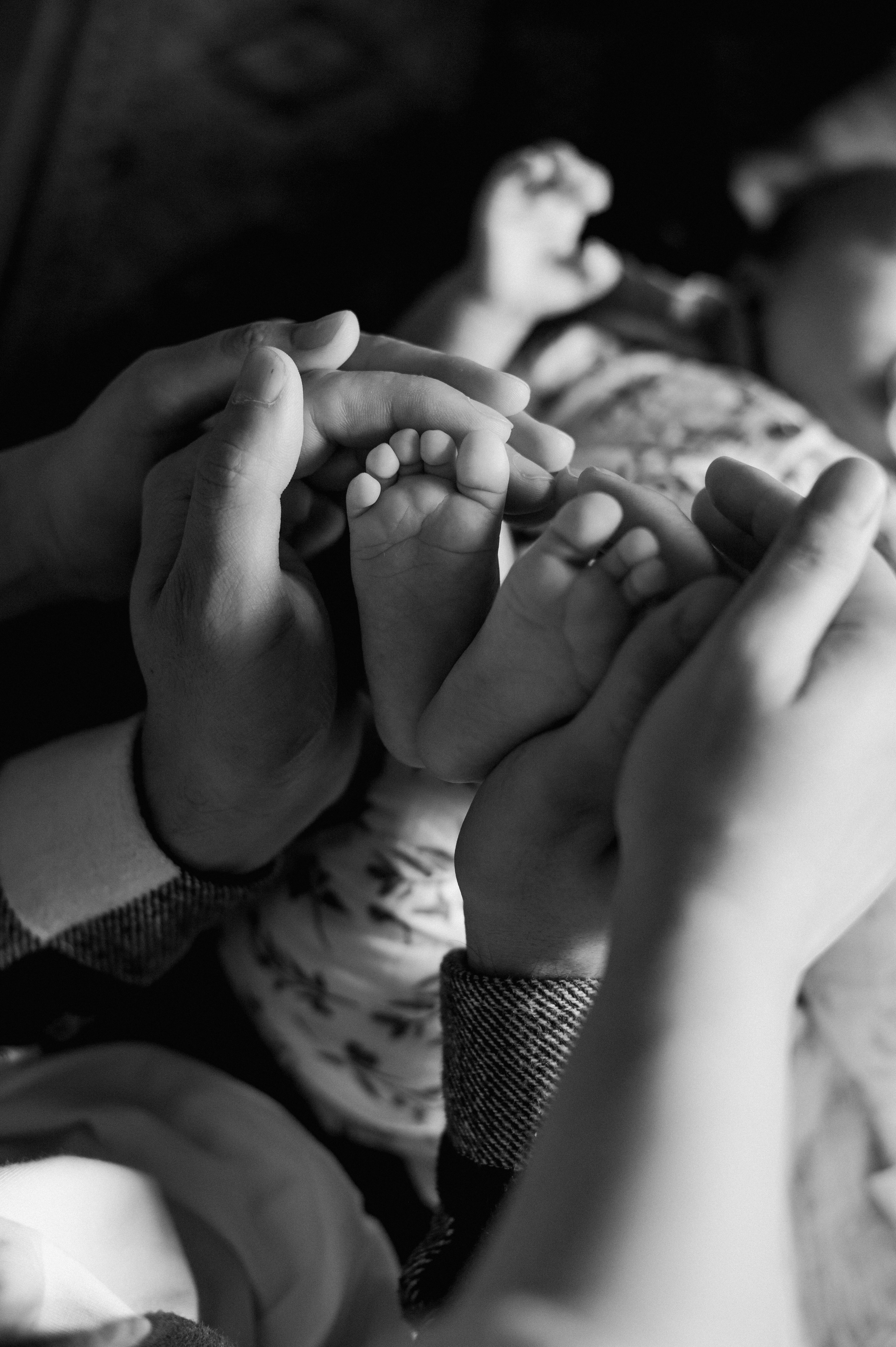 Амелия. Семейный и свадебный фотограф в Москве Татьяна Николаева