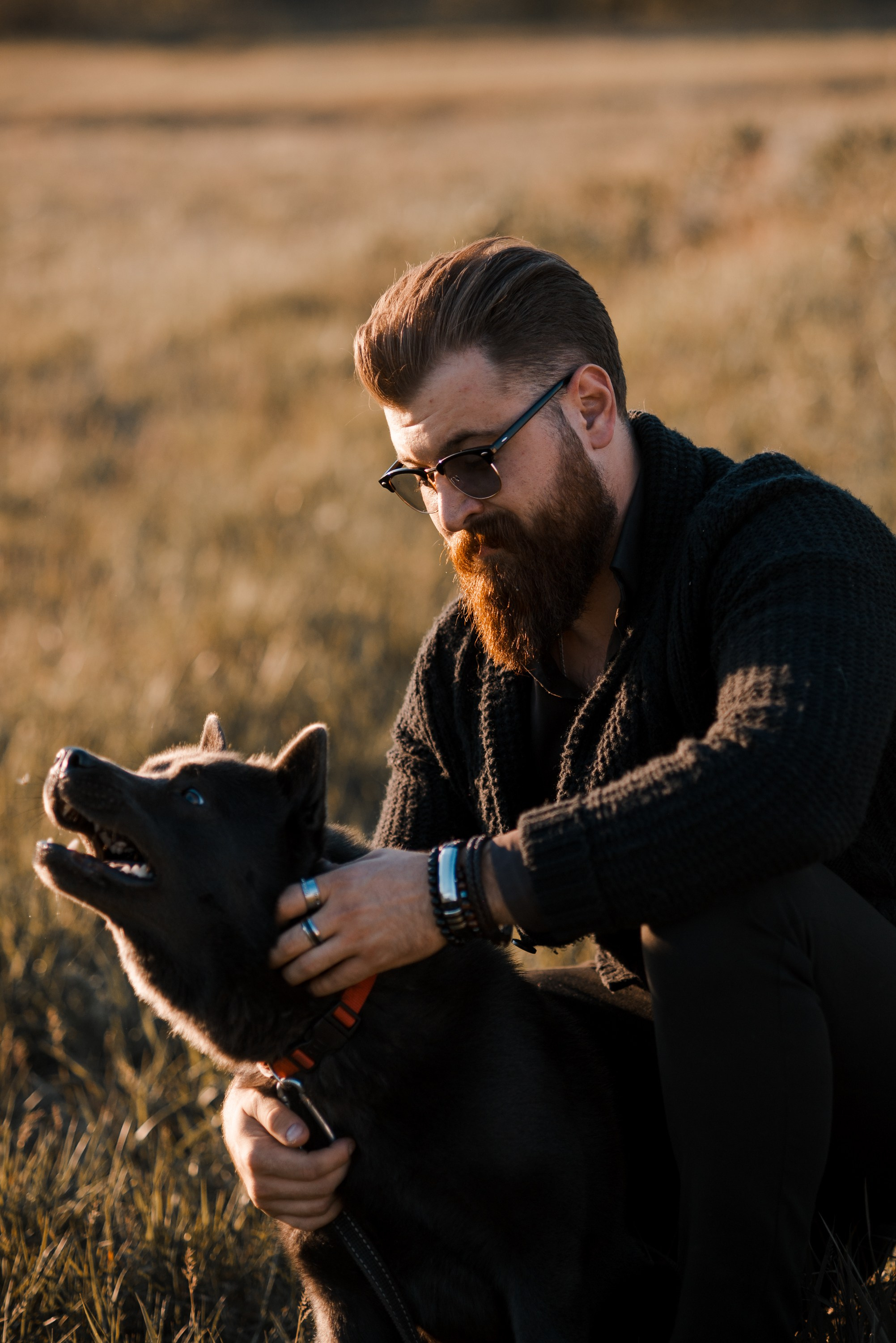 Ярослав. Главная