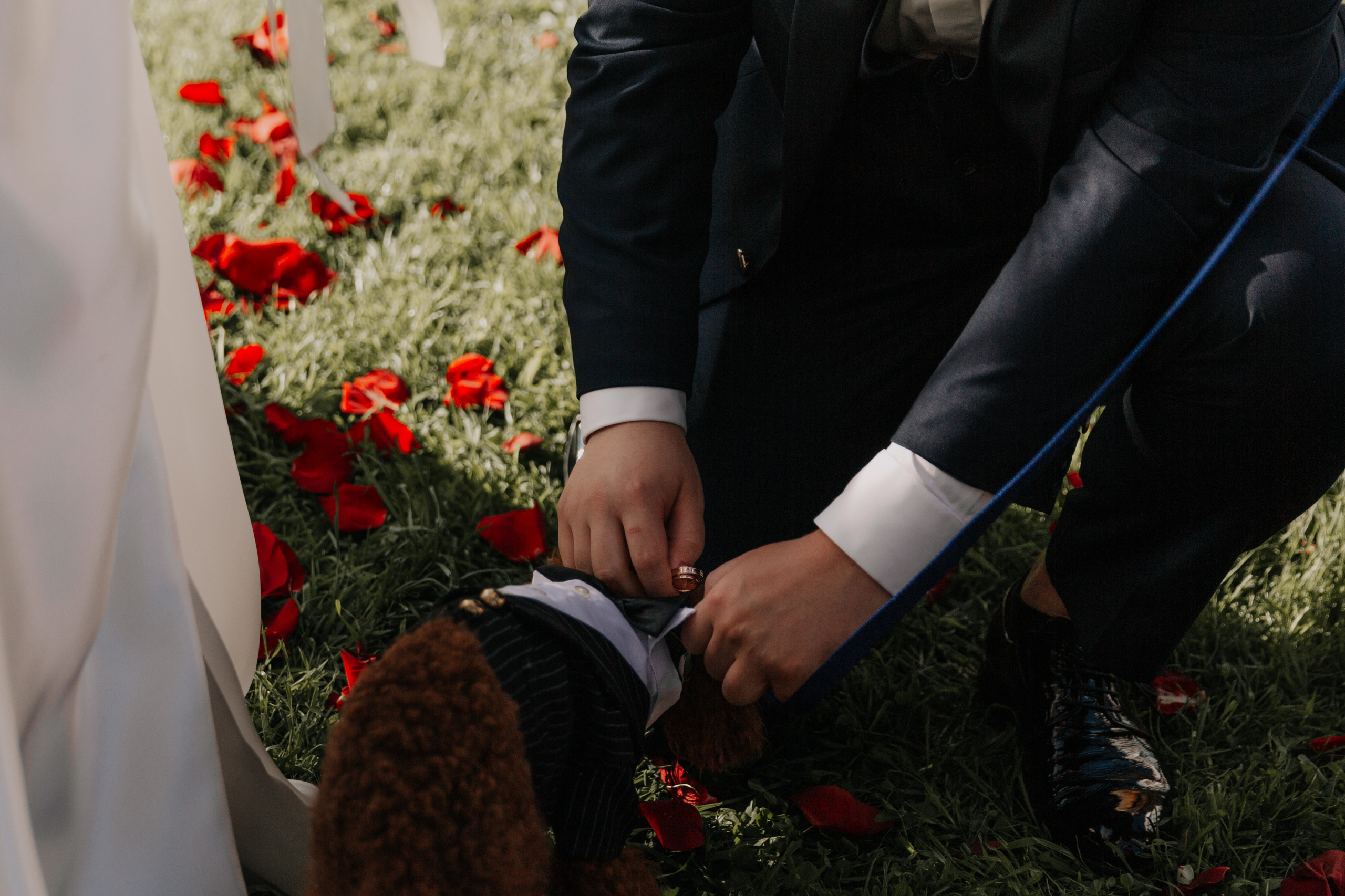 Рубен и Полина. Свадебный и репортажный фотограф Ольга Шевелёва