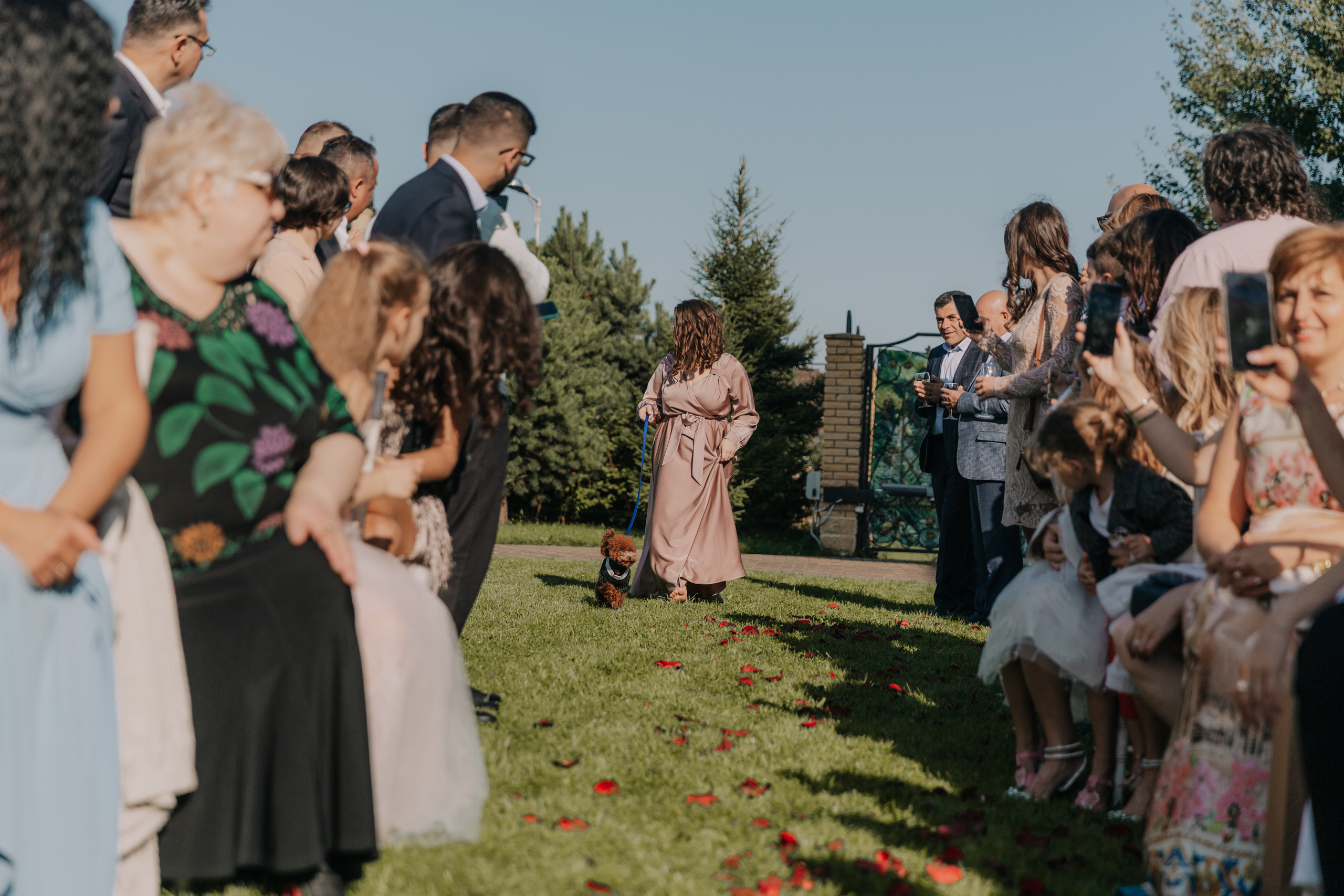 Рубен и Полина. Свадебный и репортажный фотограф Ольга Шевелёва