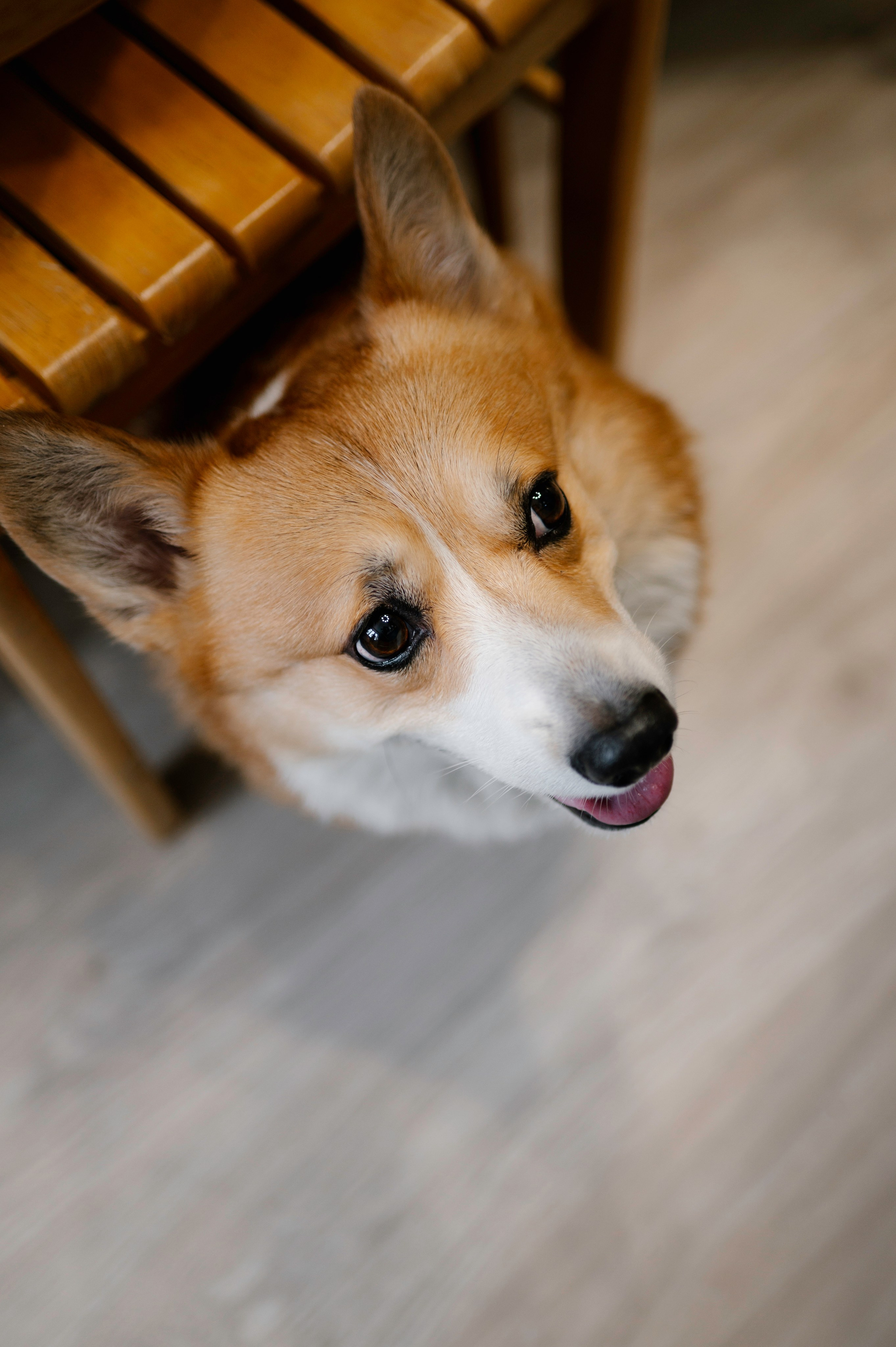 Детские праздники. Фотограф Тверь
