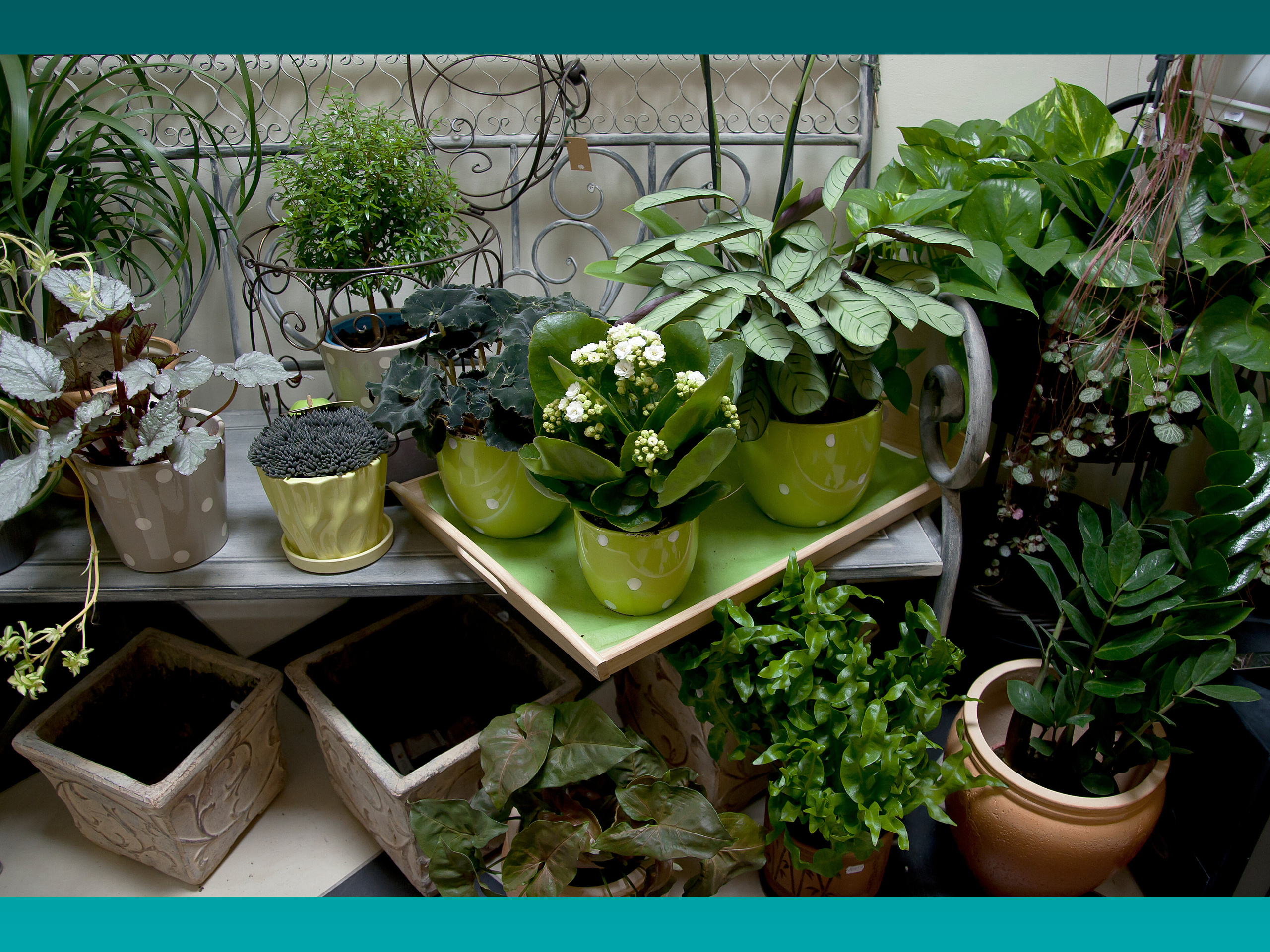 Салон цветов. Малюгина · Дизайн