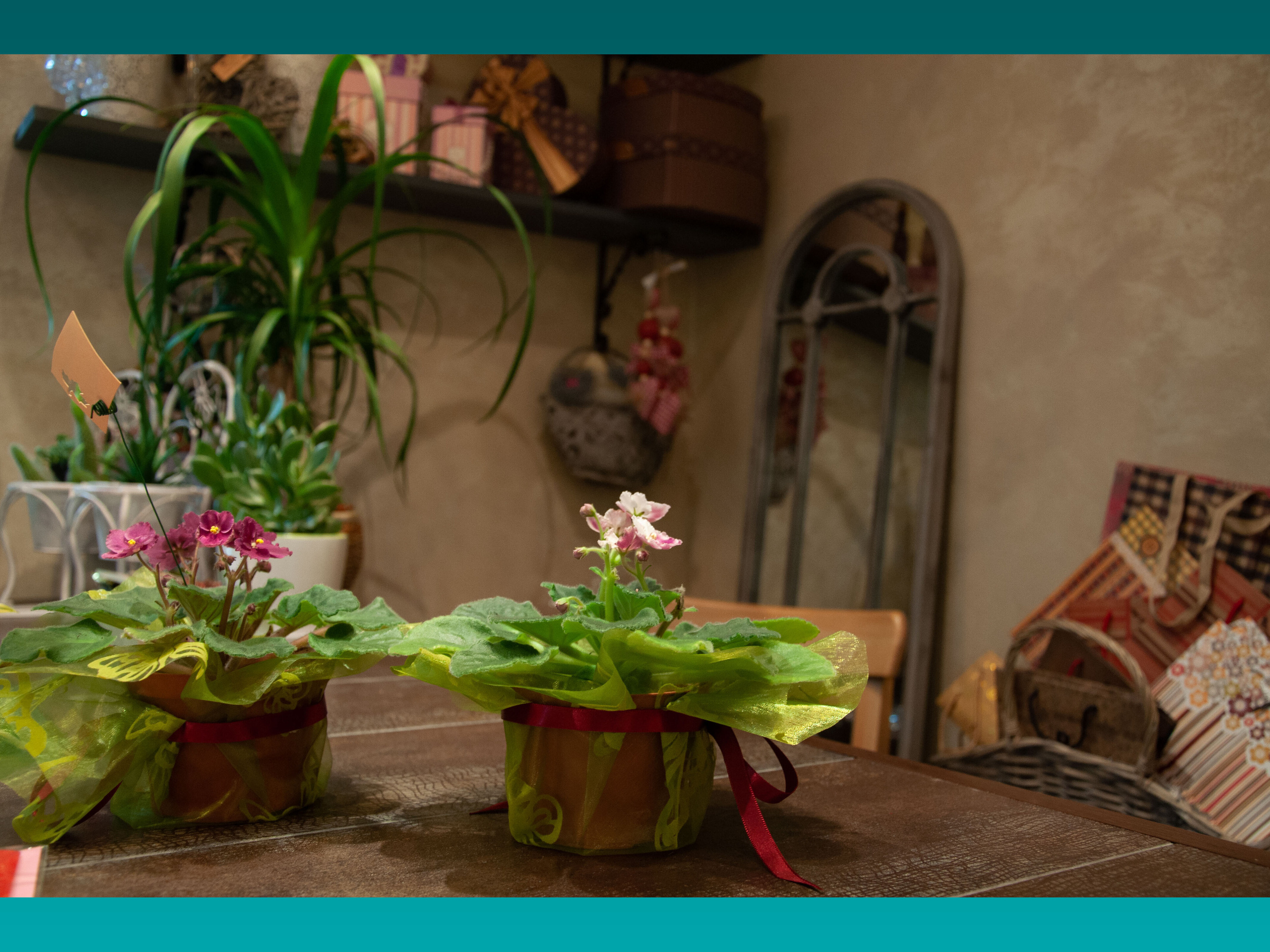 Салон цветов. Малюгина · Дизайн