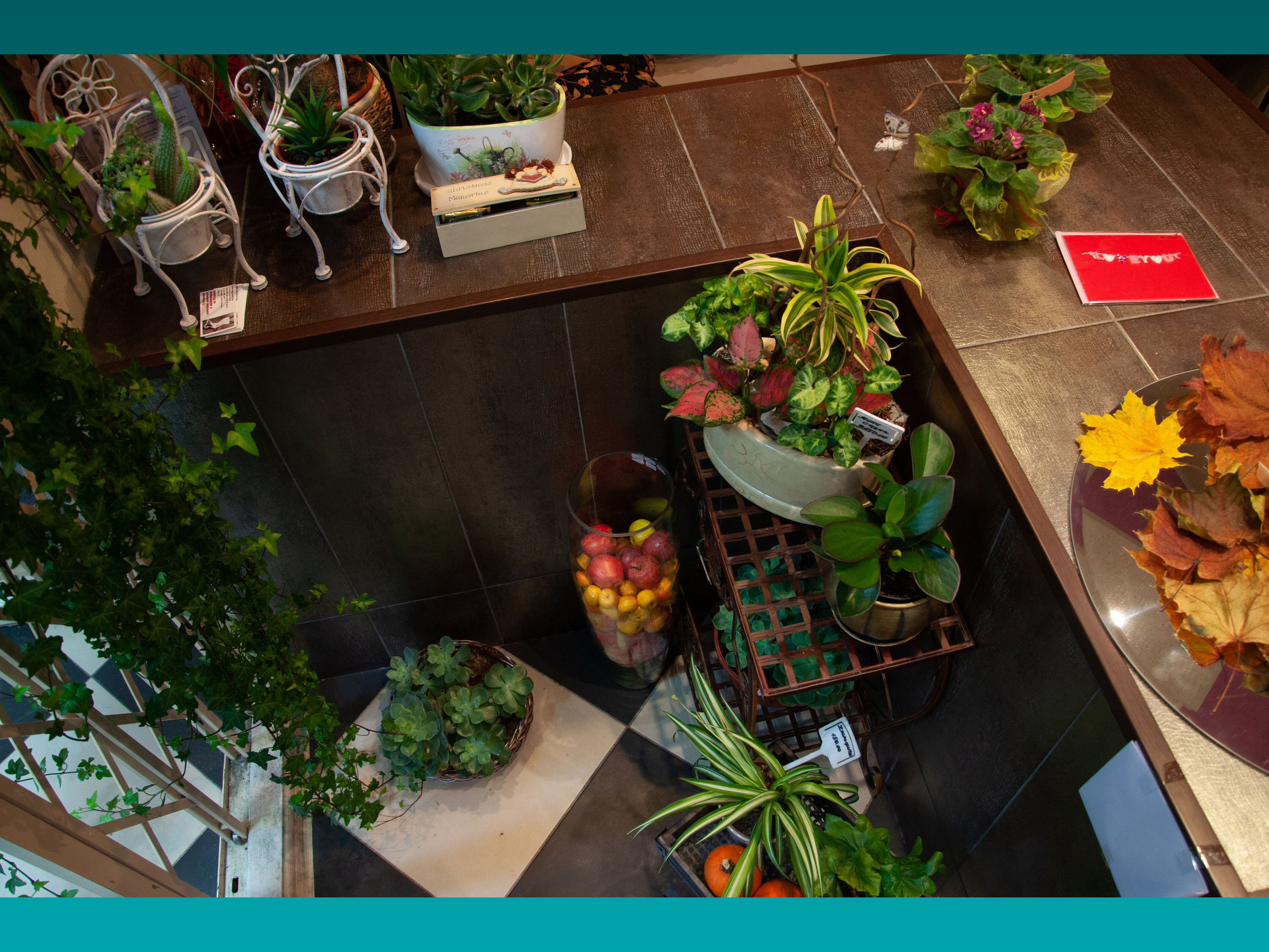 Салон цветов. Малюгина · Дизайн