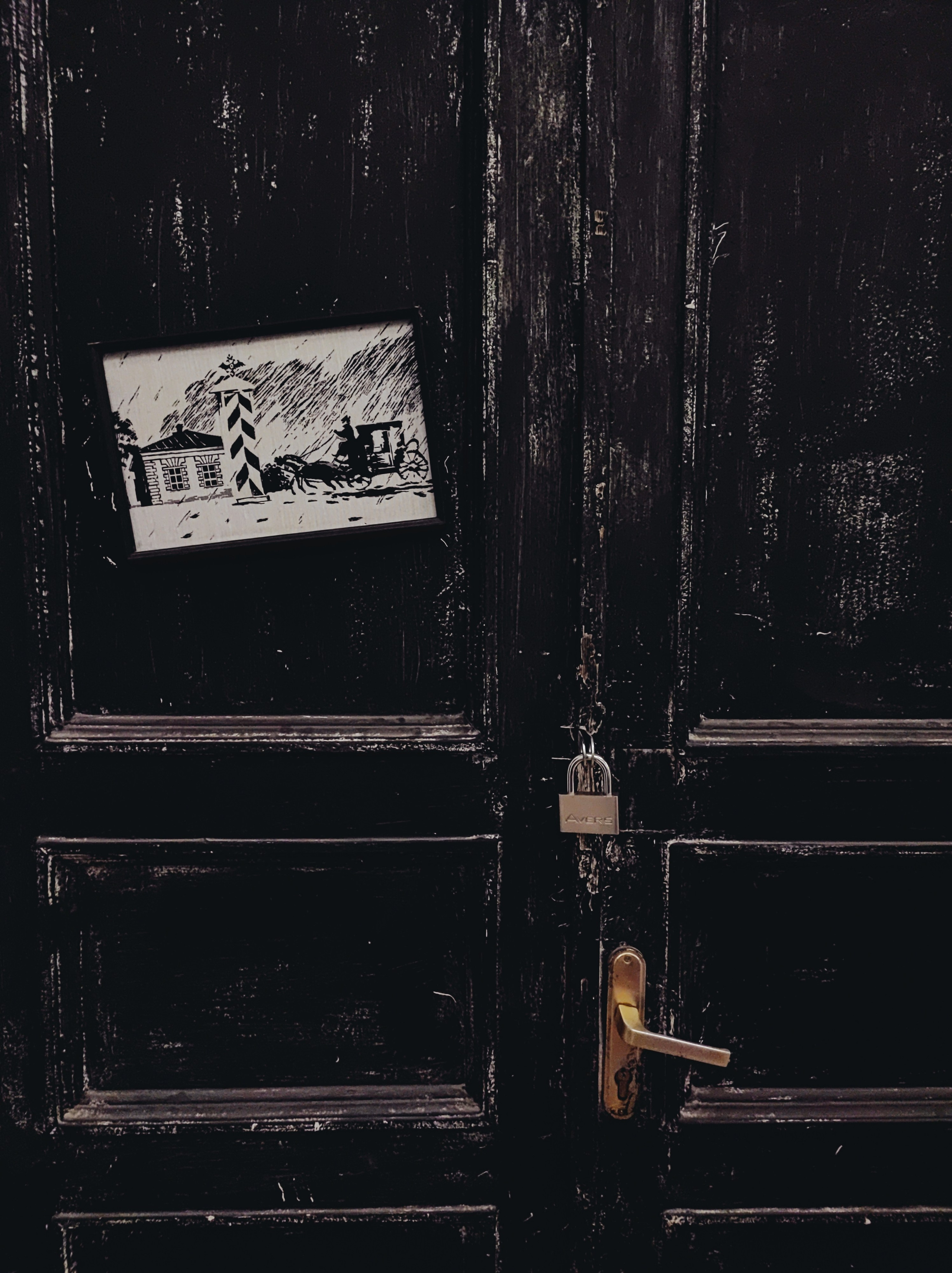 Намобилкус питерский. Репортажный фотограф Алексей Пирязев