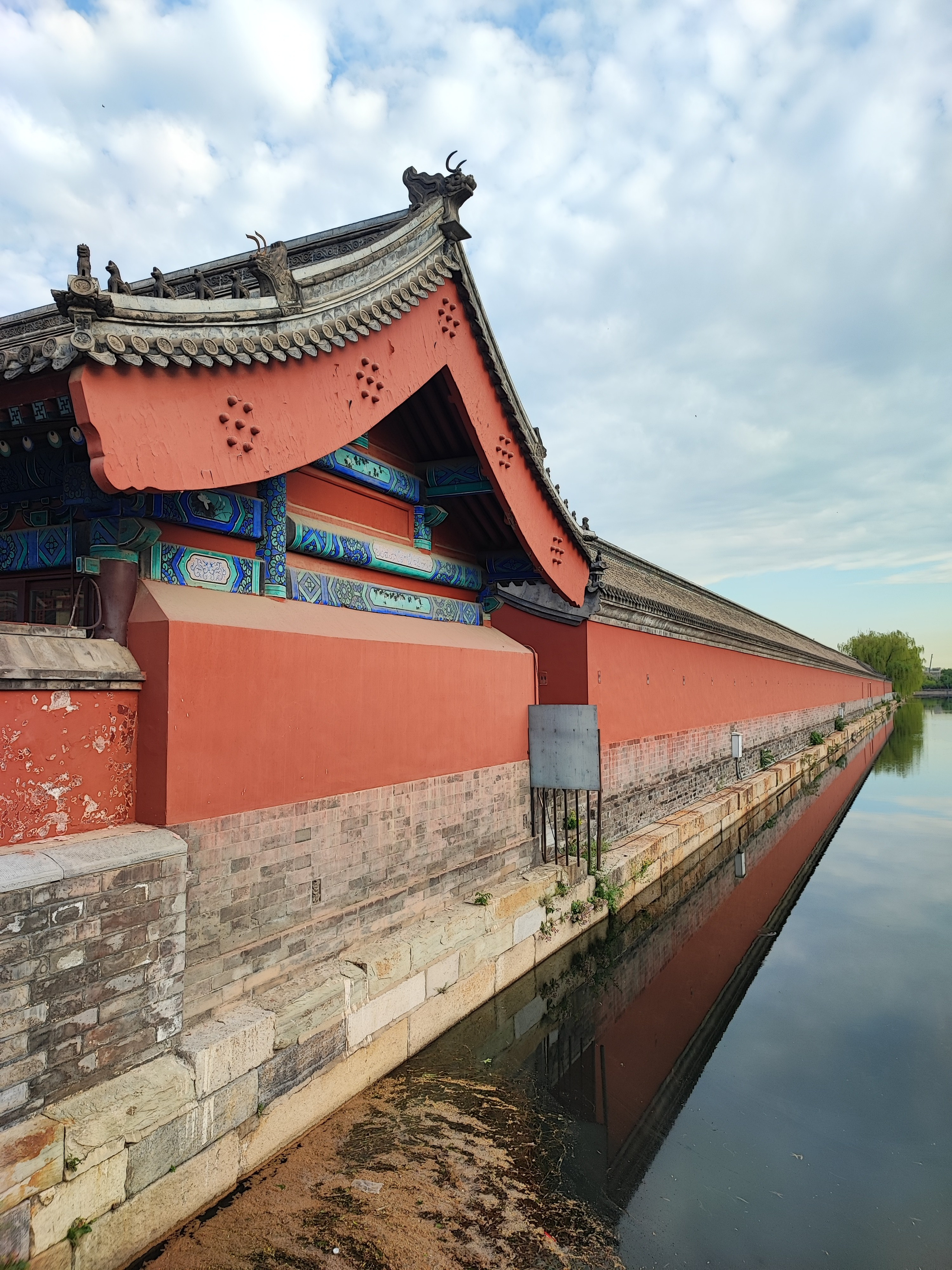 Намобилкус китайский. Репортажный фотограф Алексей Пирязев