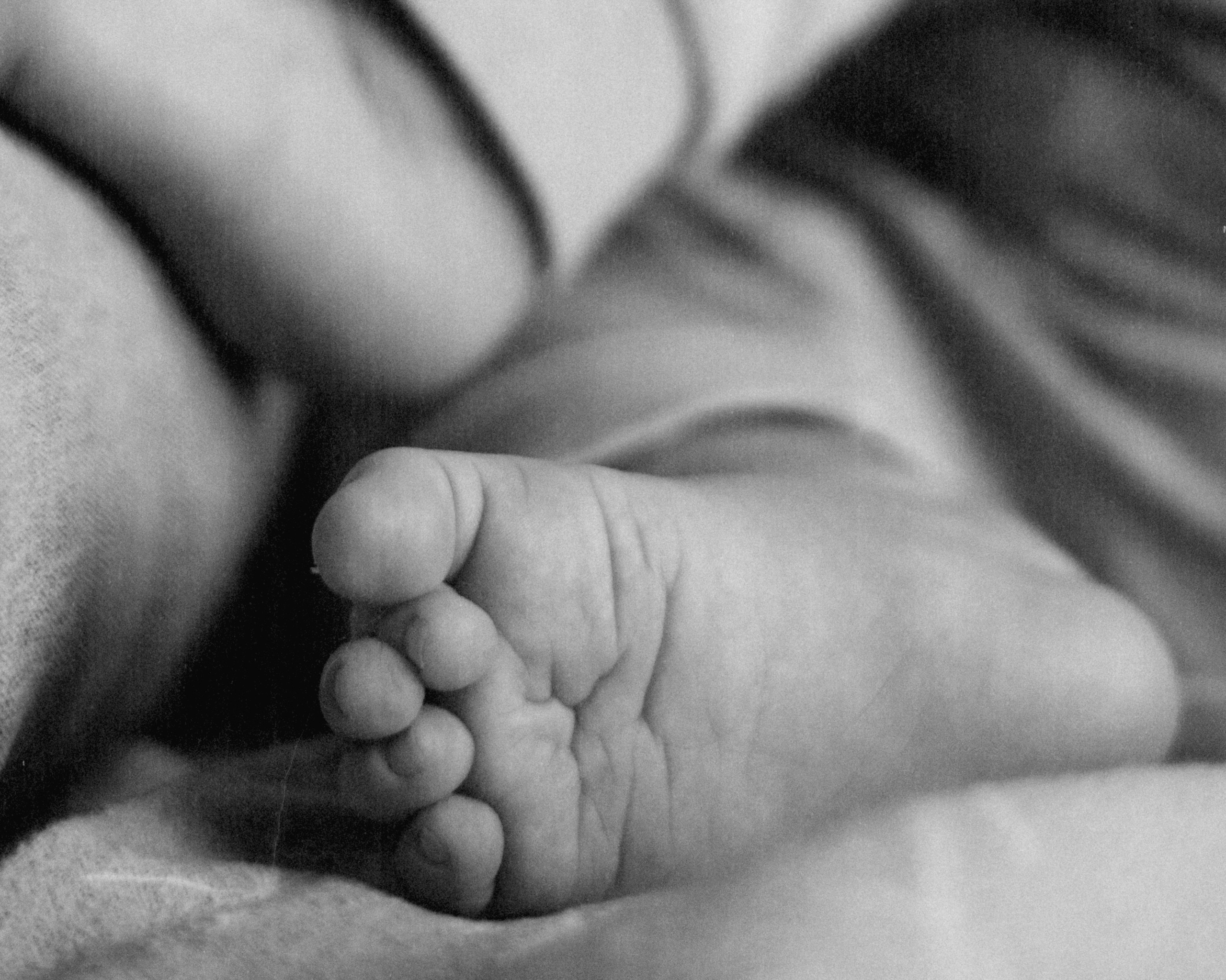 Fedya. SHILOVA PHOTO. Шилова Екатерина. Фотограф. Москва