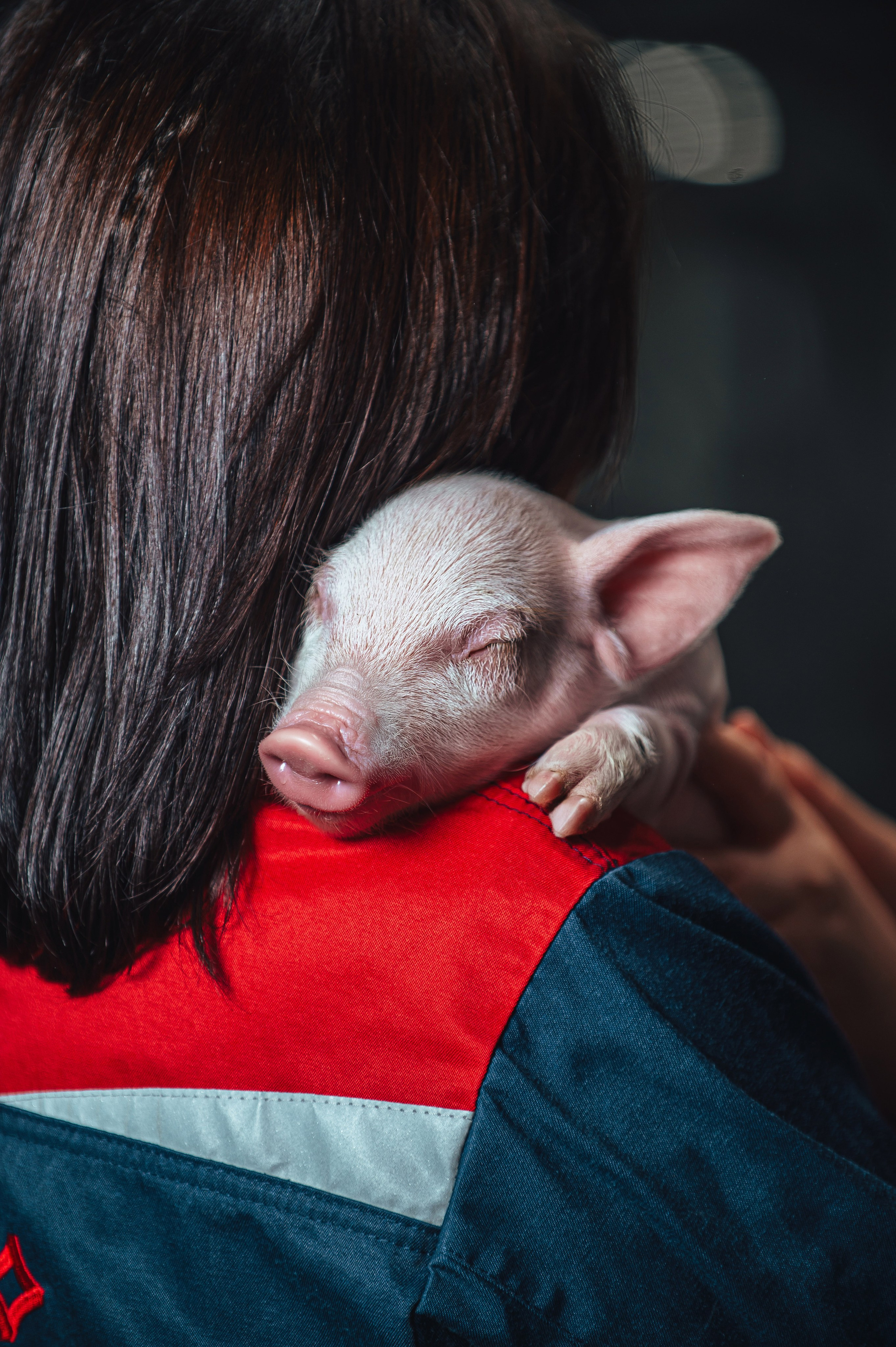 Свинокомплекс «СИБАГРО». Свадебная и концептуальная фотография в городе Улан-Удэ