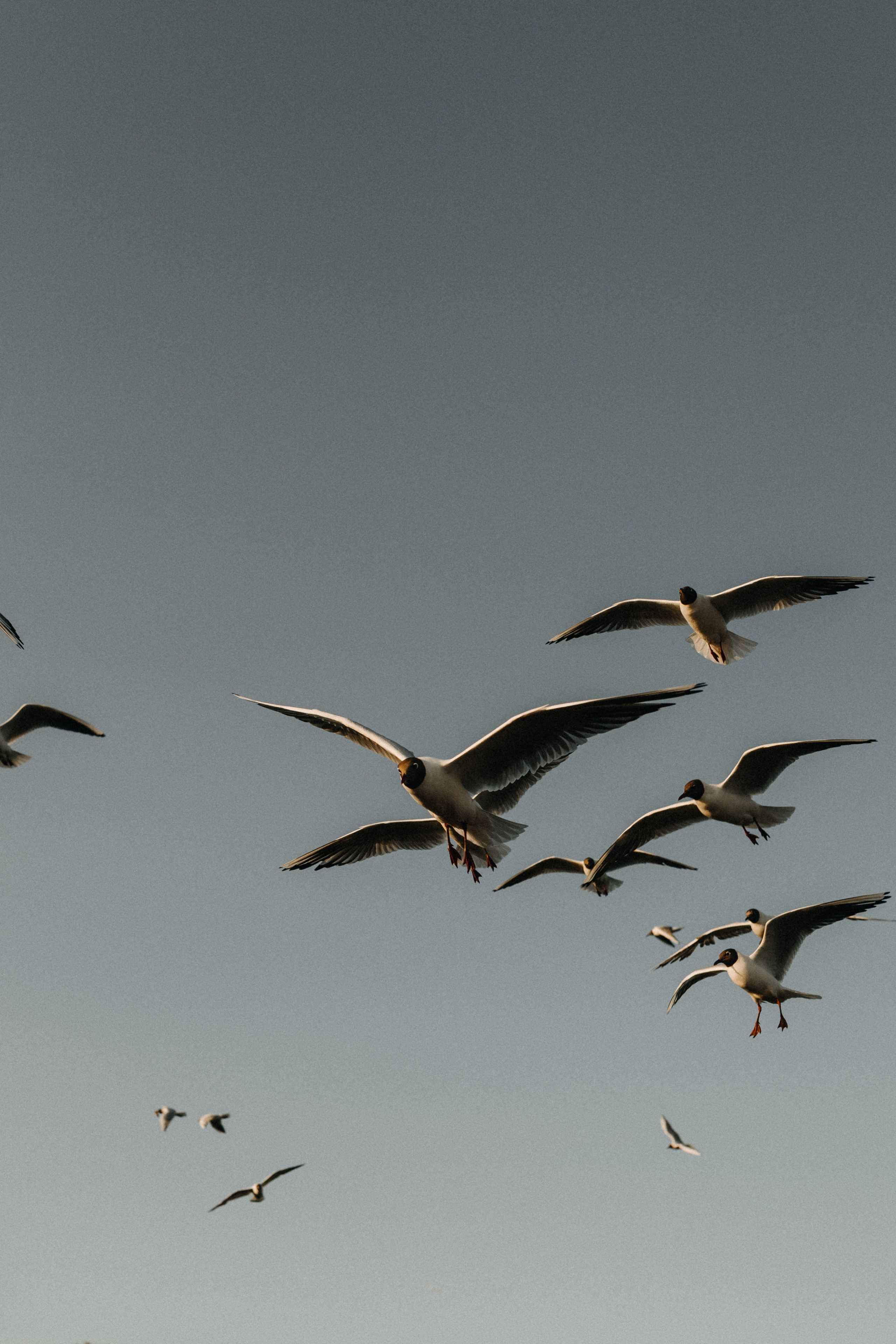 Сергей и Дарья. Фотограф в Петербурге Ольга Стрельченко