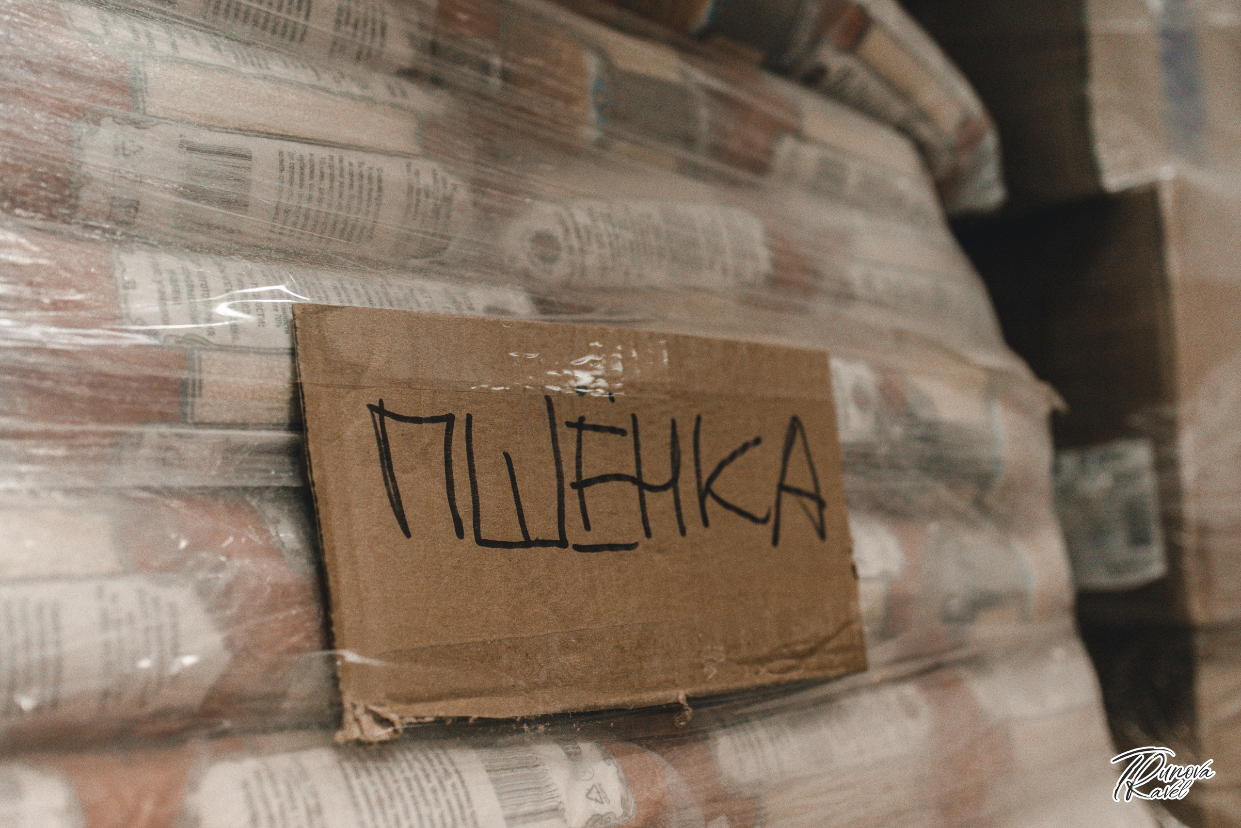 Военная патриотика. АННА ТРУНОВА | ФОТОГРАФ ЗВЁЗД