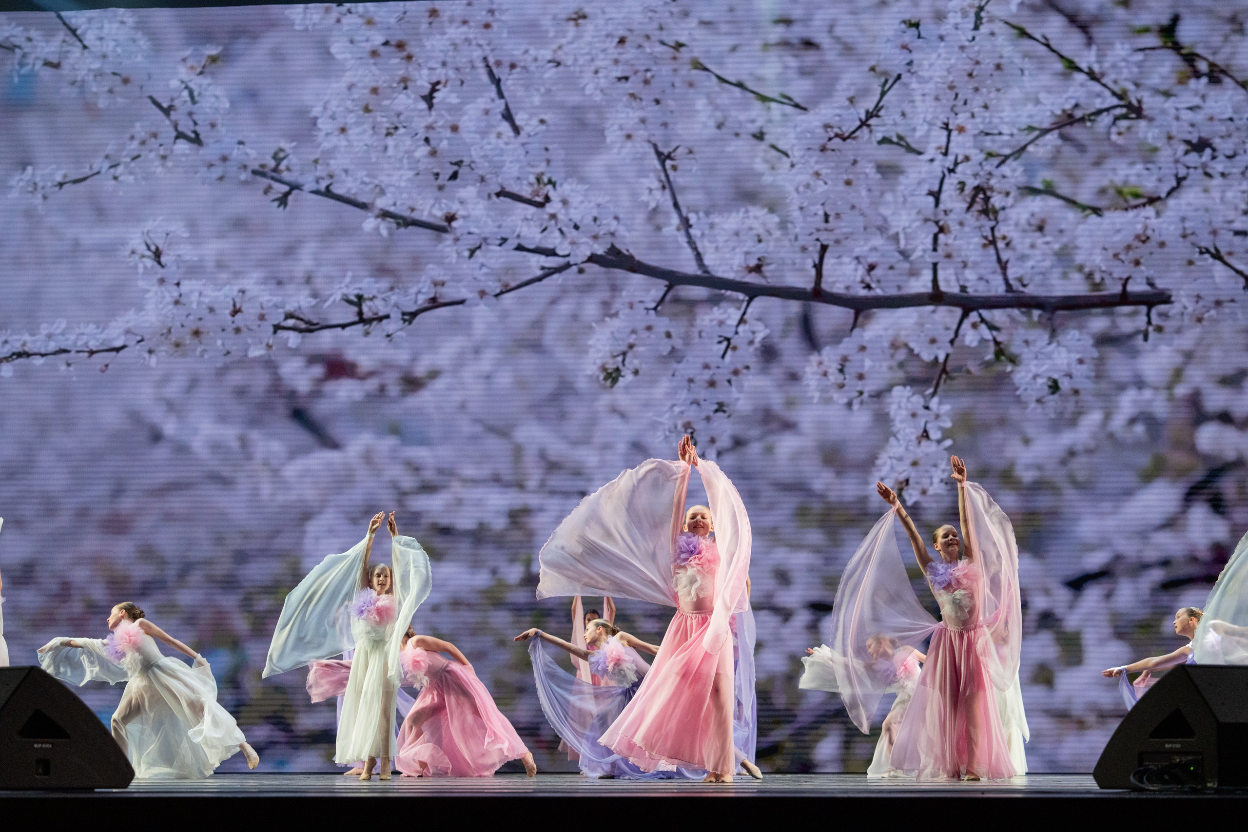 17 мая, г. Москва, Кремль, Концерт. Золотое яблочко