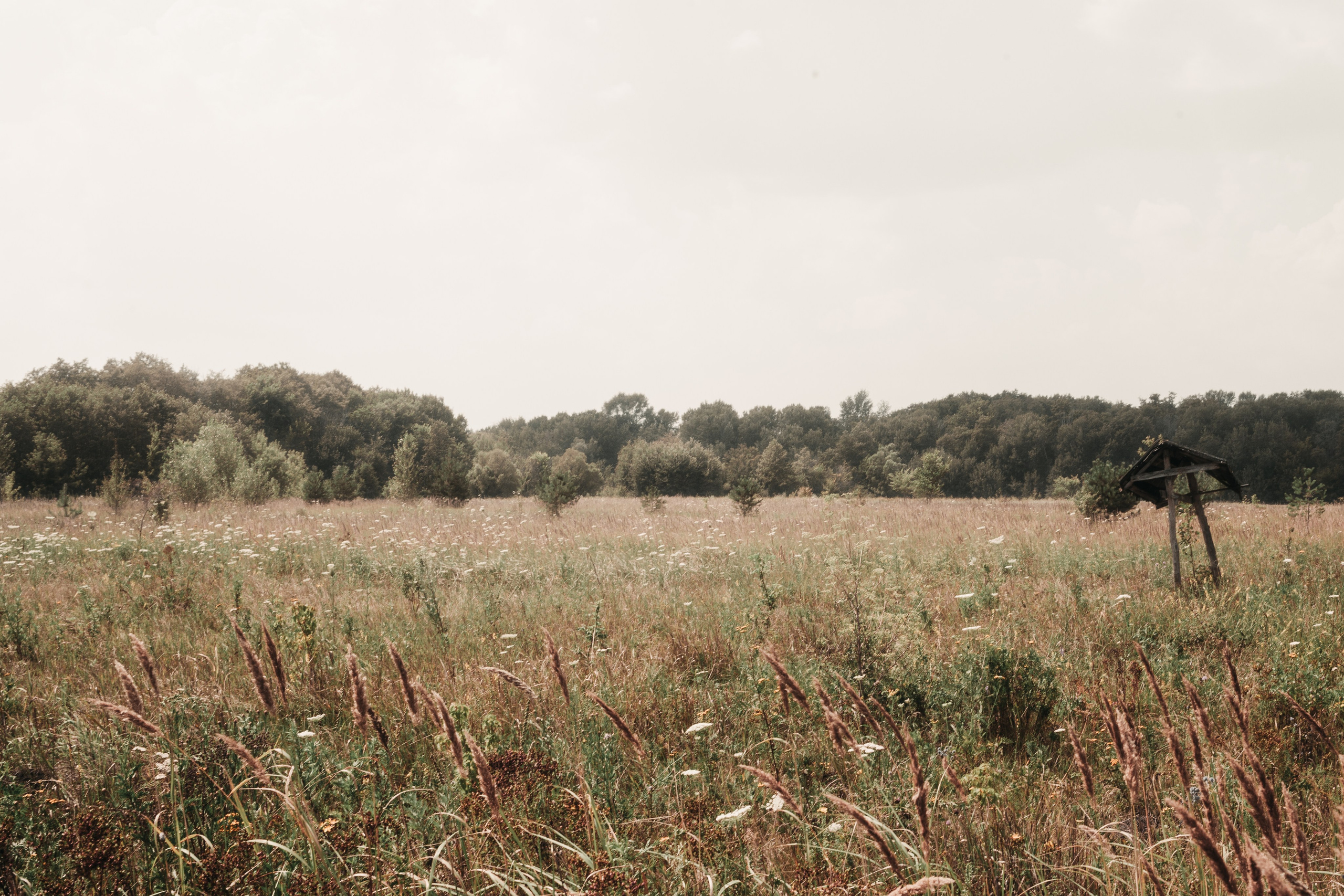 Земля. Фотограф Старый Оскол Мавлыга Мария