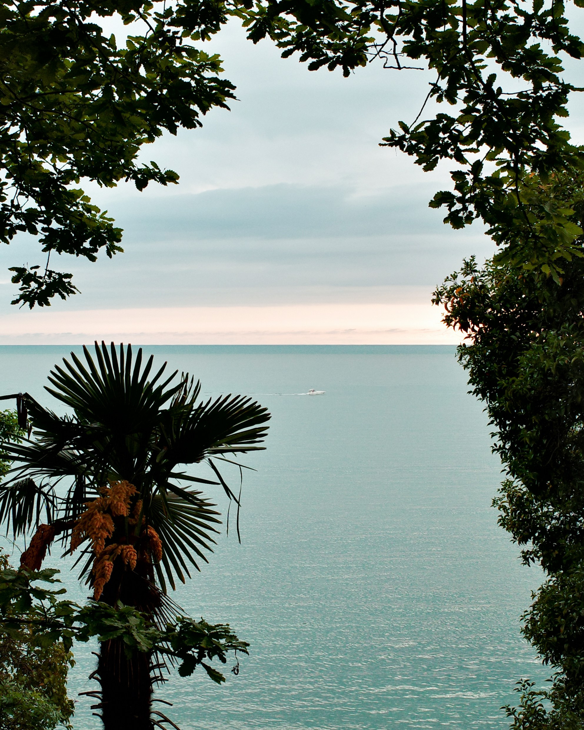 BY THE SEA. Anne Demia