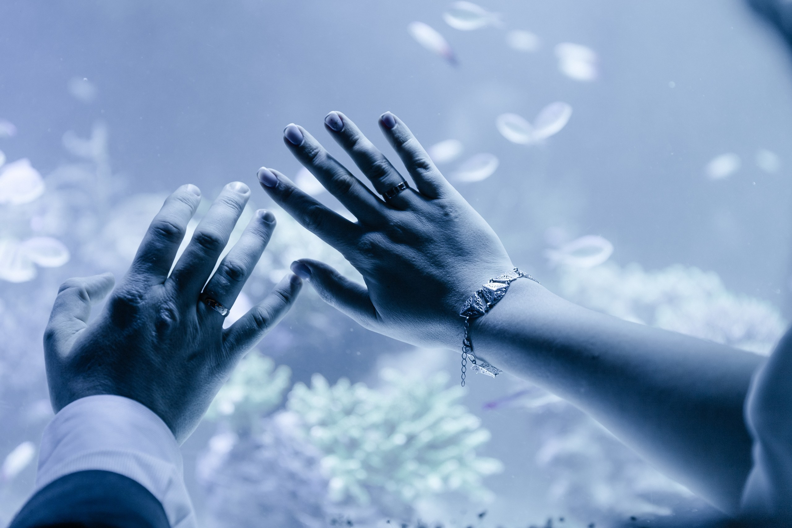 «Мгновения навсегда». Семейный и детский фотограф. Москва. Пронина Тома